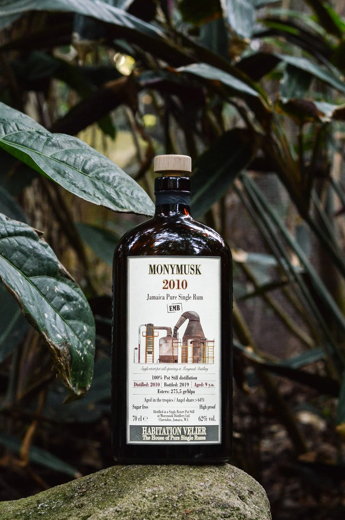 Monymusk 2010 EMB - Habitation Velier - 62%