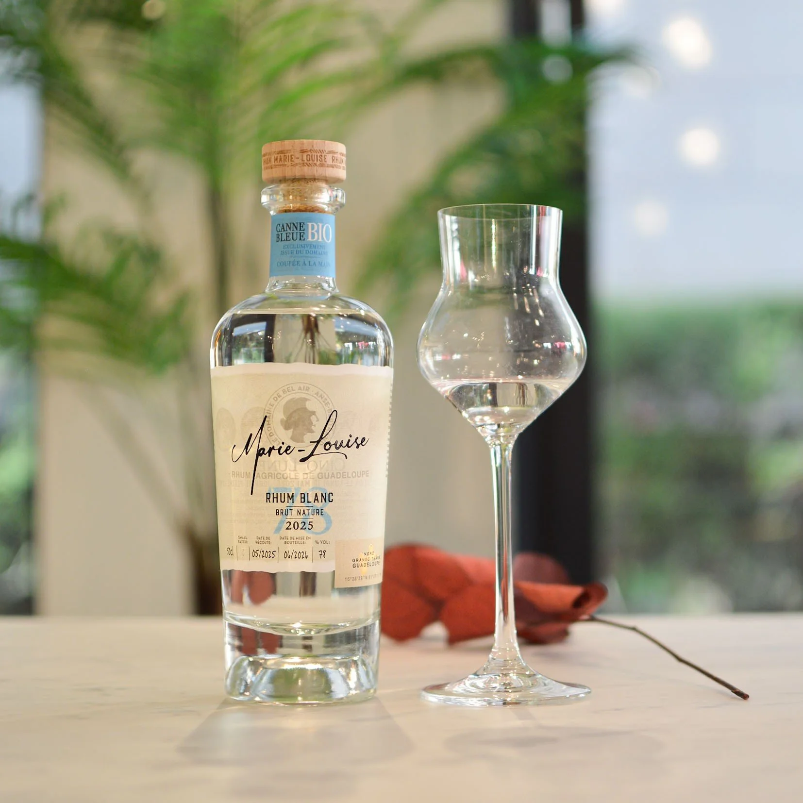 Marie-Louise - Rhum Blanc Bio- 2025 - 78%