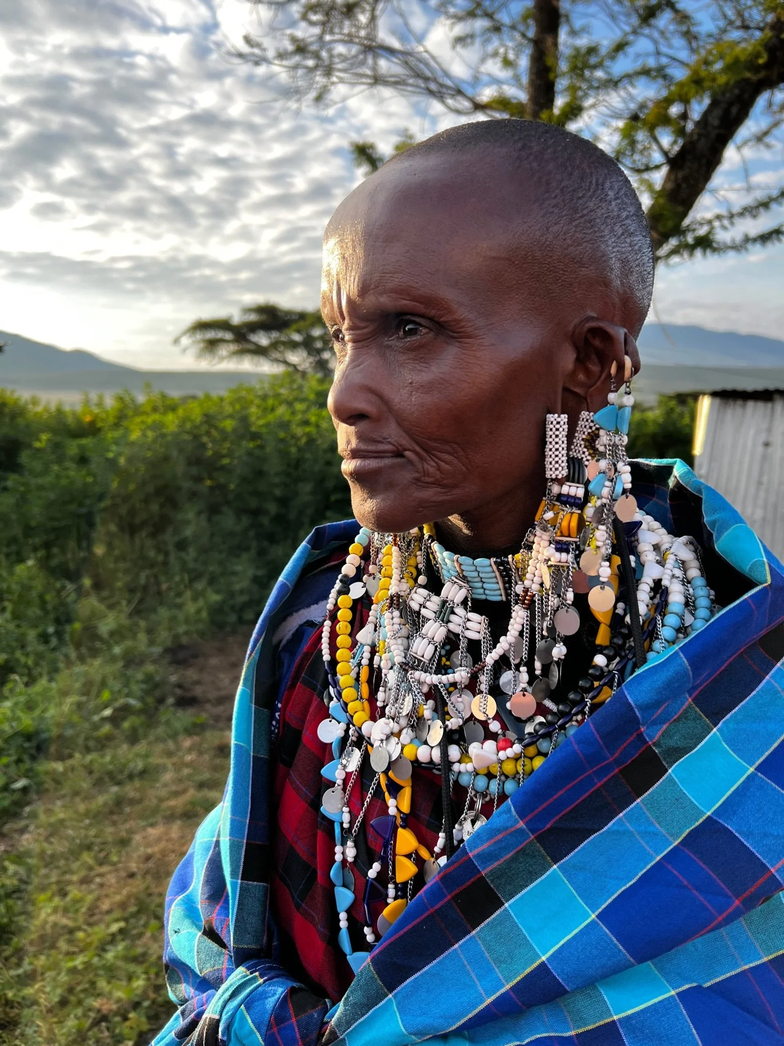Indigenous Systems Humanculture Noltente Maasai