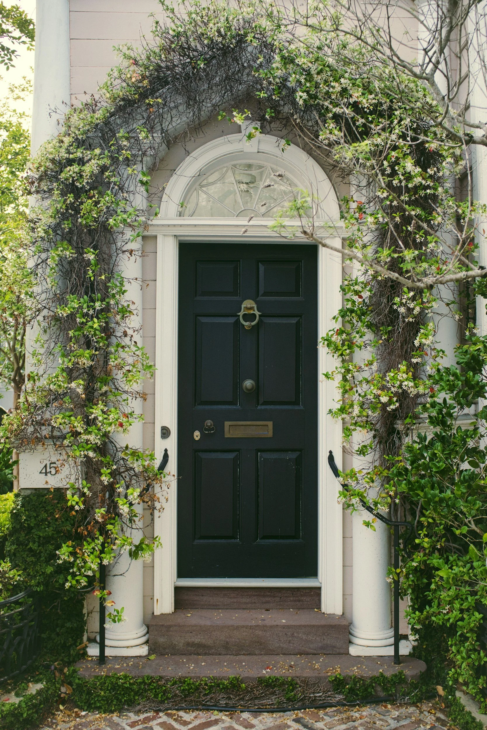 Front door painted black, framed by white columns and surrounded by greenery and climbing plants, with house number 45 visible on a mailbox to the side.
