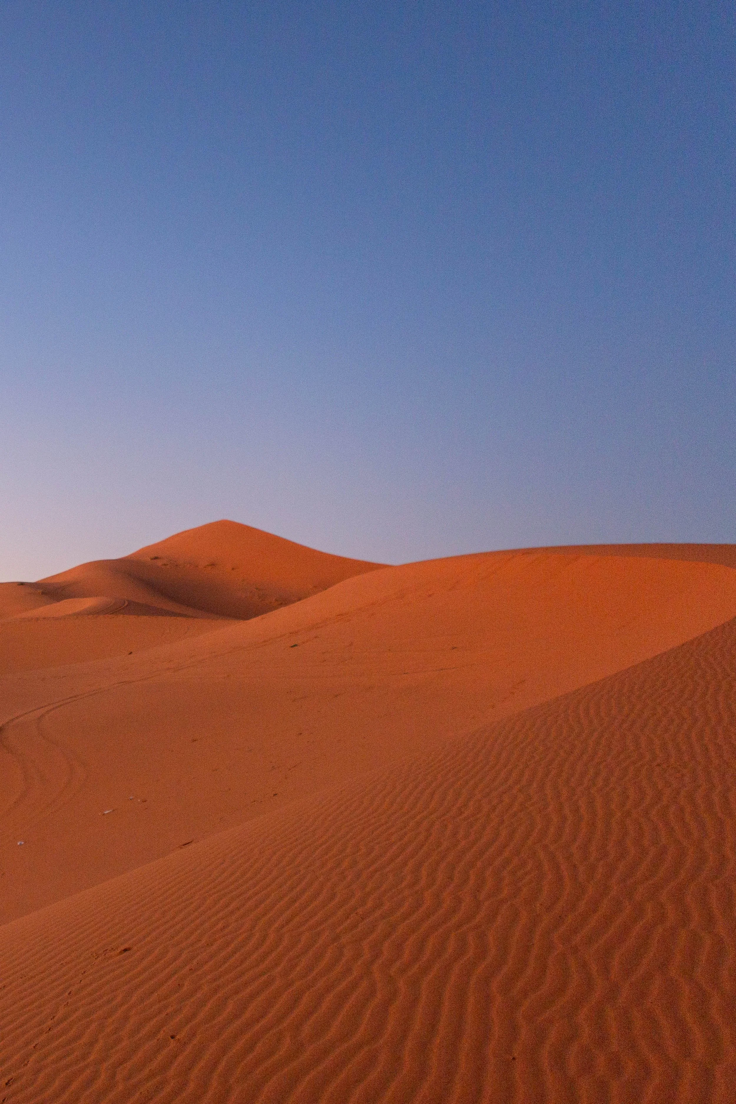 Sand dunes in a desert at sunset with a clear blue sky.