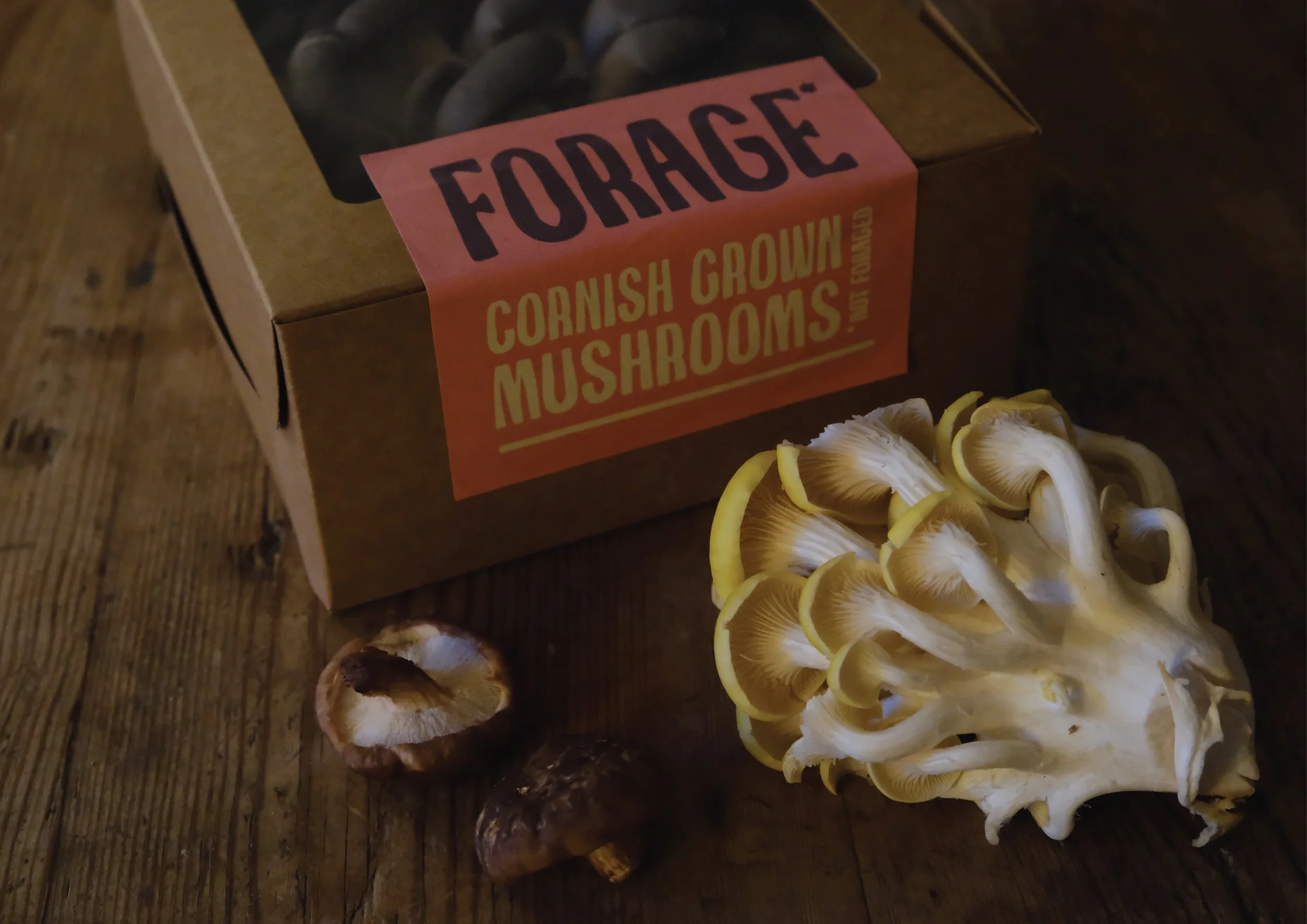 forage packaging.jpg