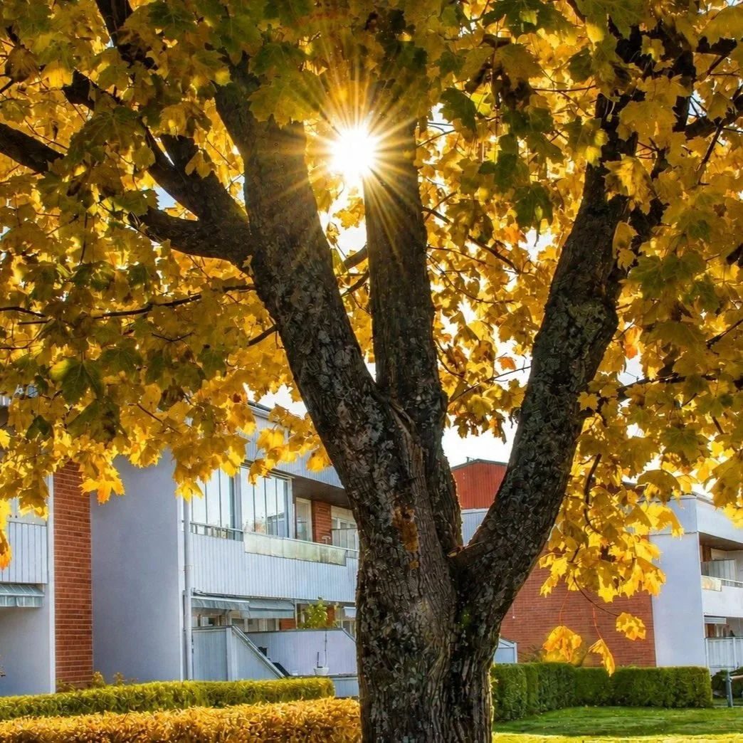 Utemiljö