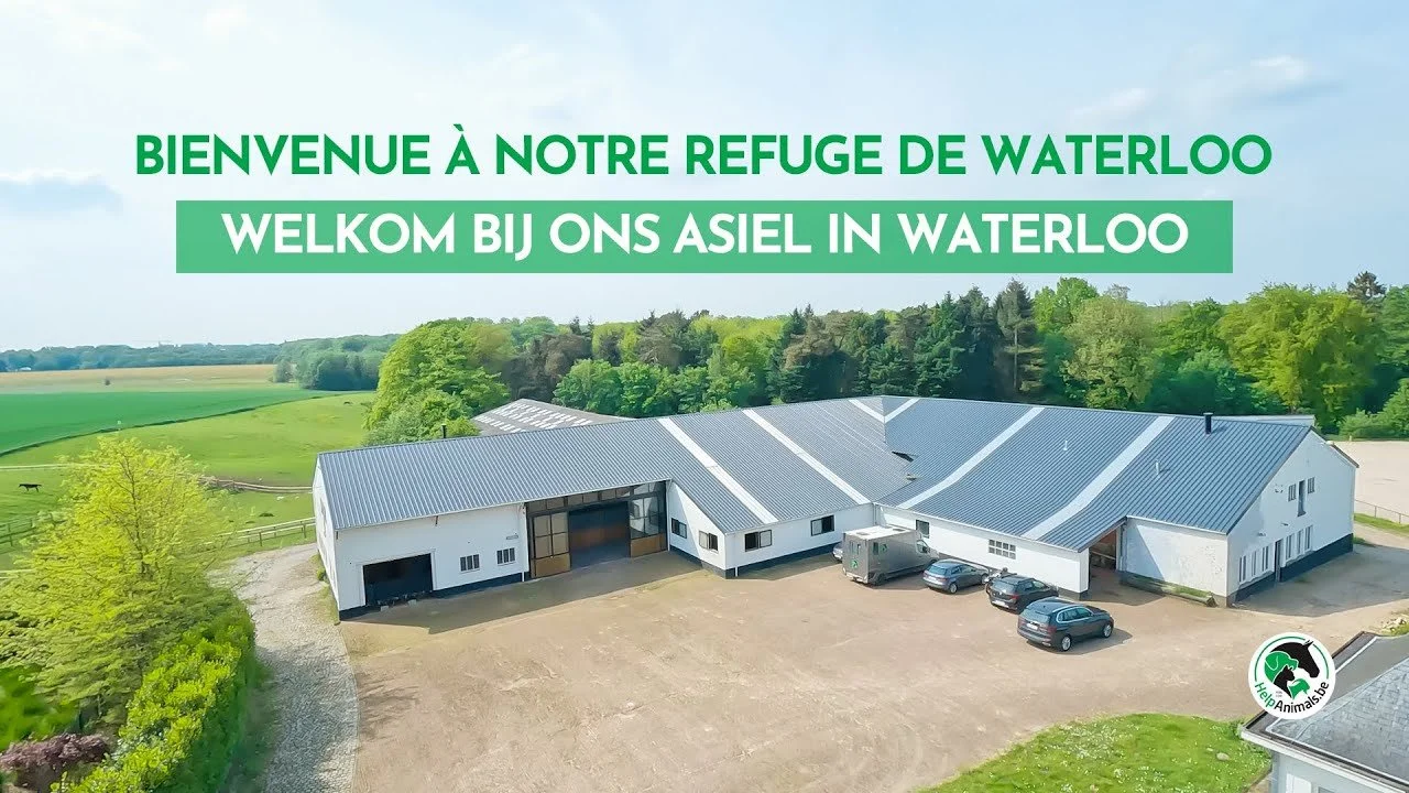 Vue aérienne d'un refuge moderne à Waterloo avec un grand bâtiment blanc, voitures garées devant, entouré de champs et de forêts. Texte en français et néerlandais souhaite la bienvenue à notre refuge à Waterloo.