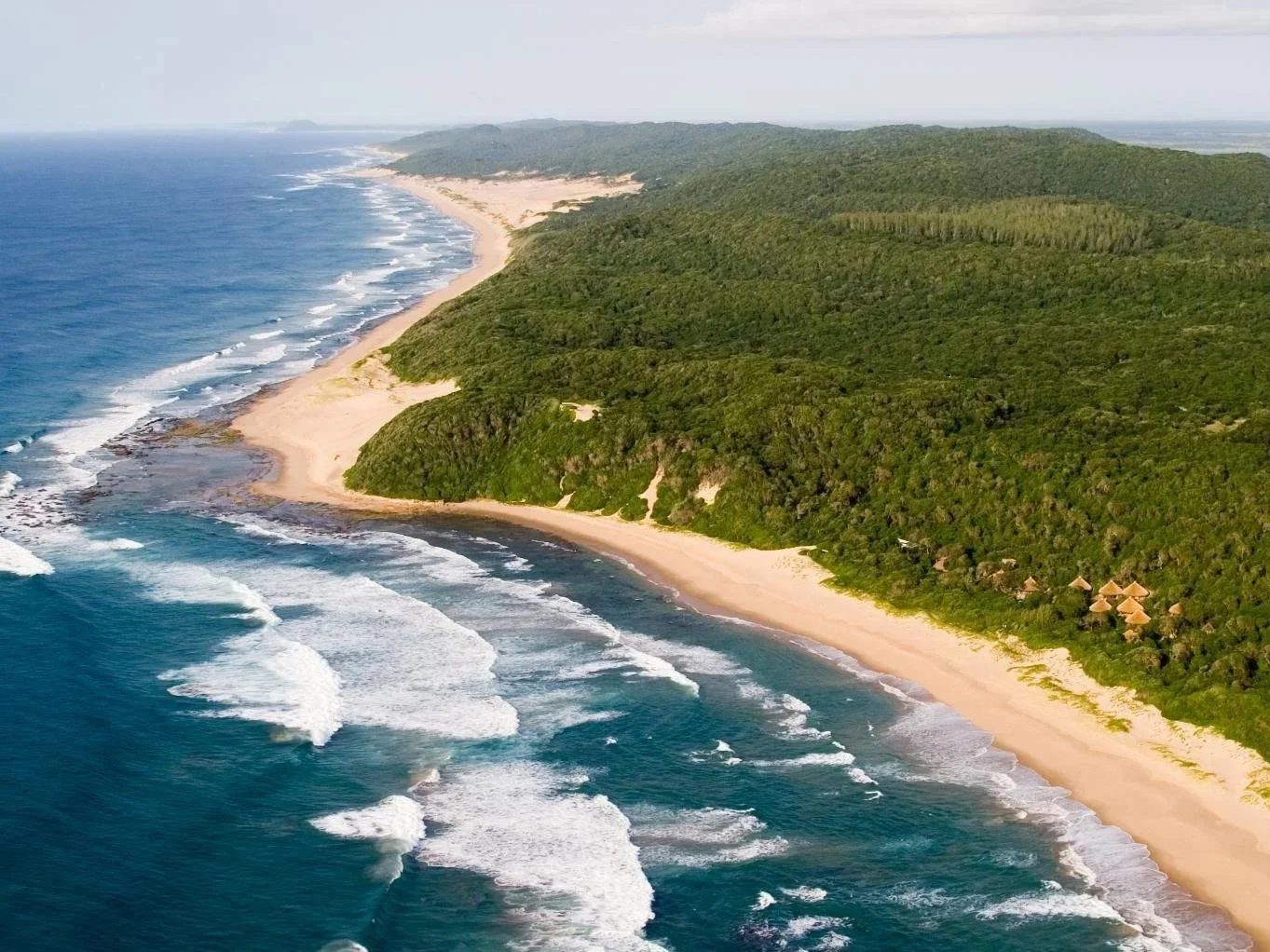 Vue aérienne d'une plage de sable doré bordée par une mer bleue avec des vagues et une forêt dense verte en arrière-plan
