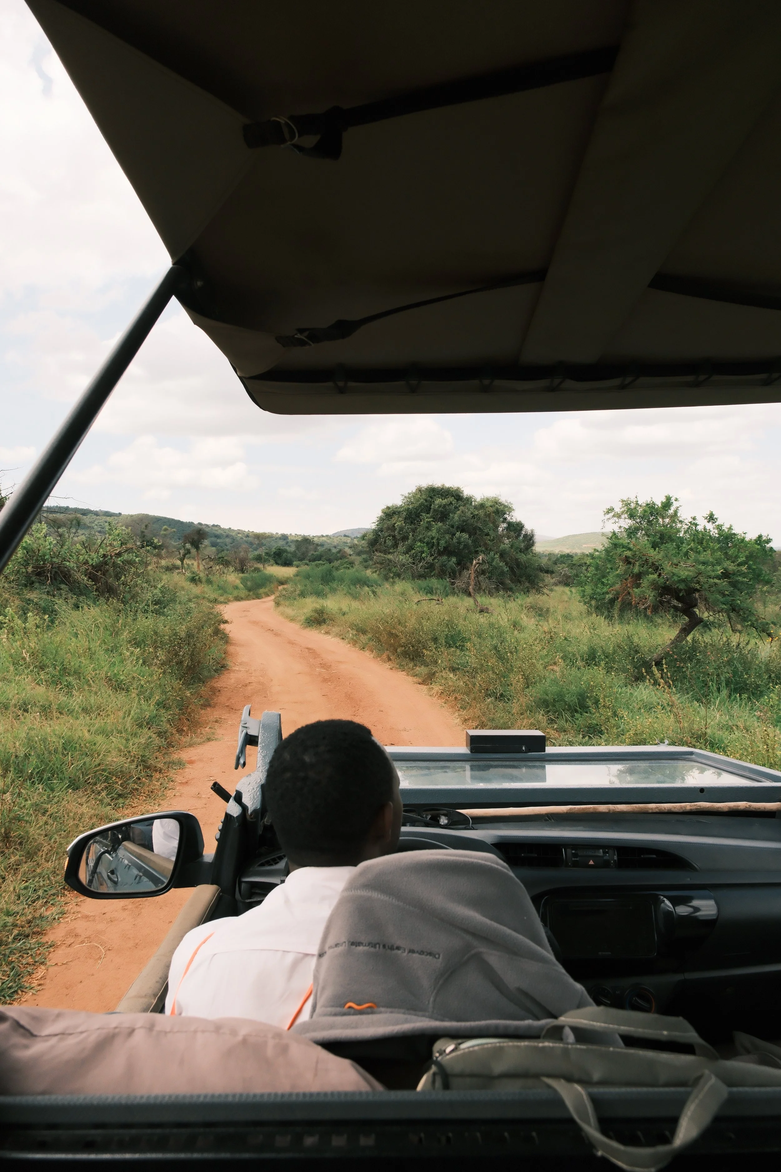 Vue depuis l'intérieur d'un véhicule safari, montrant le dos de deux personnes avec un paysage de savane et un chemin de terre devant.