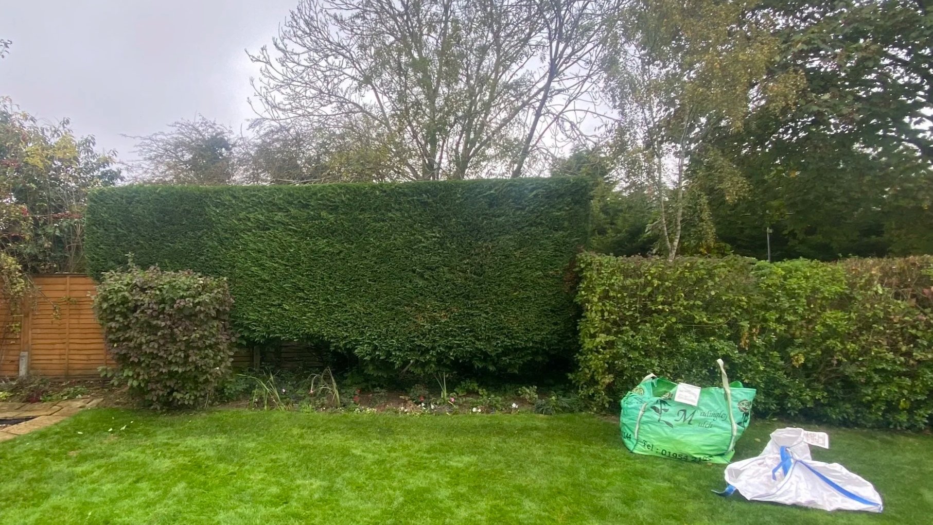 Hedge Cutting garden clearance tidy neat hedge waste removal