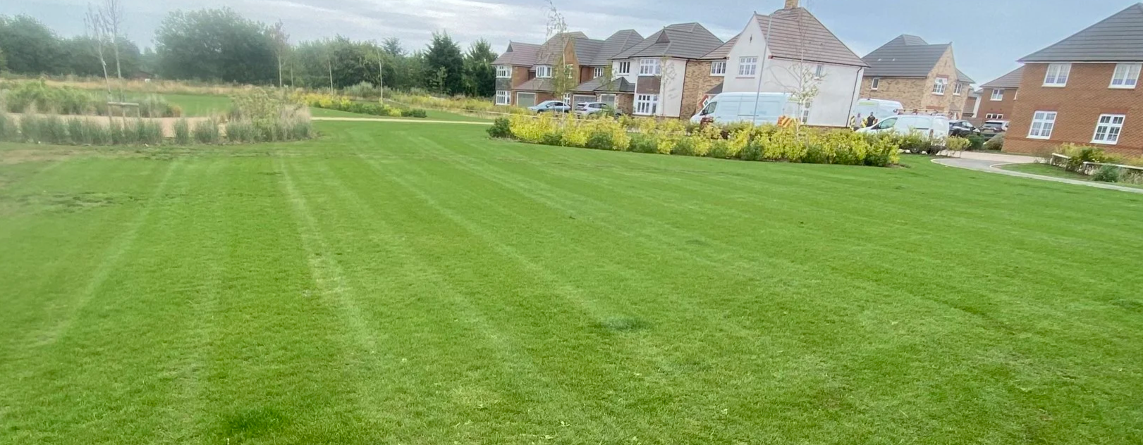 Grass cutting grounds maintenance housing estate reliable outdoor care eco