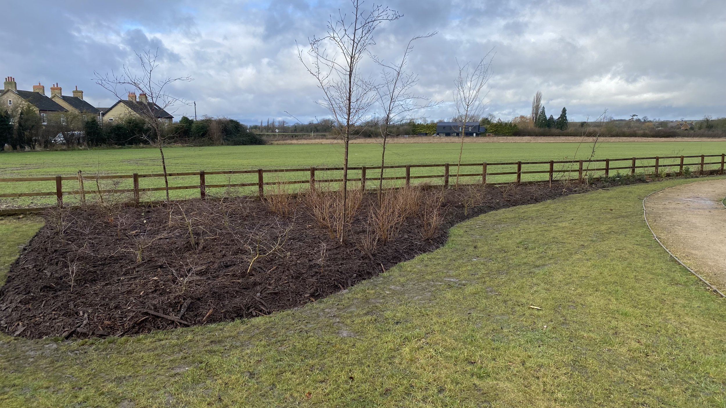 A landscaped outdoor area with a curved pathway, newly planted bushes, a wooden fence, and a grassy field under a cloudy sky, freshly wood chipped flower bed, on a housing estate.