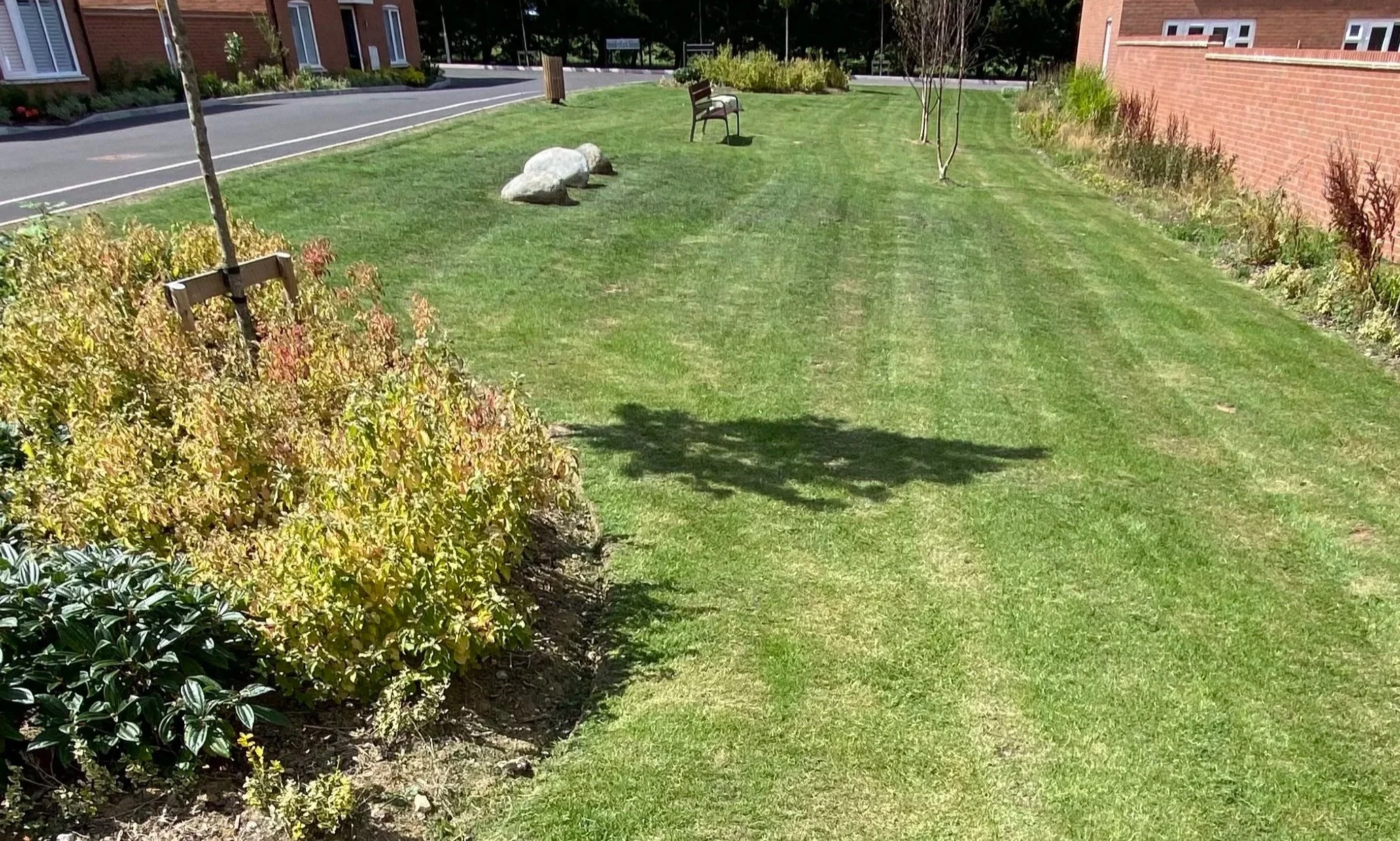 Striped grass cut edged barked woodchopper flower beds planting stevenage public area bench