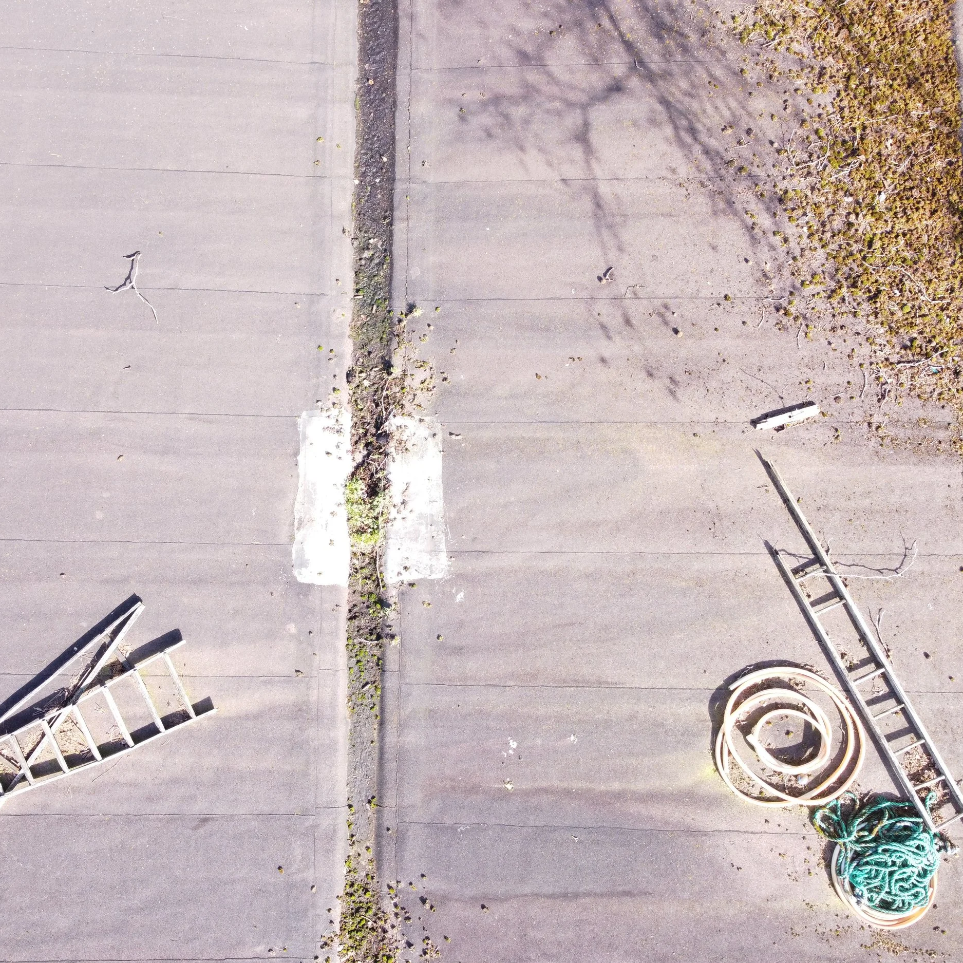 Close-up drone image of moss build-up and leaf debris collected in the central valley of a butterfly roof.