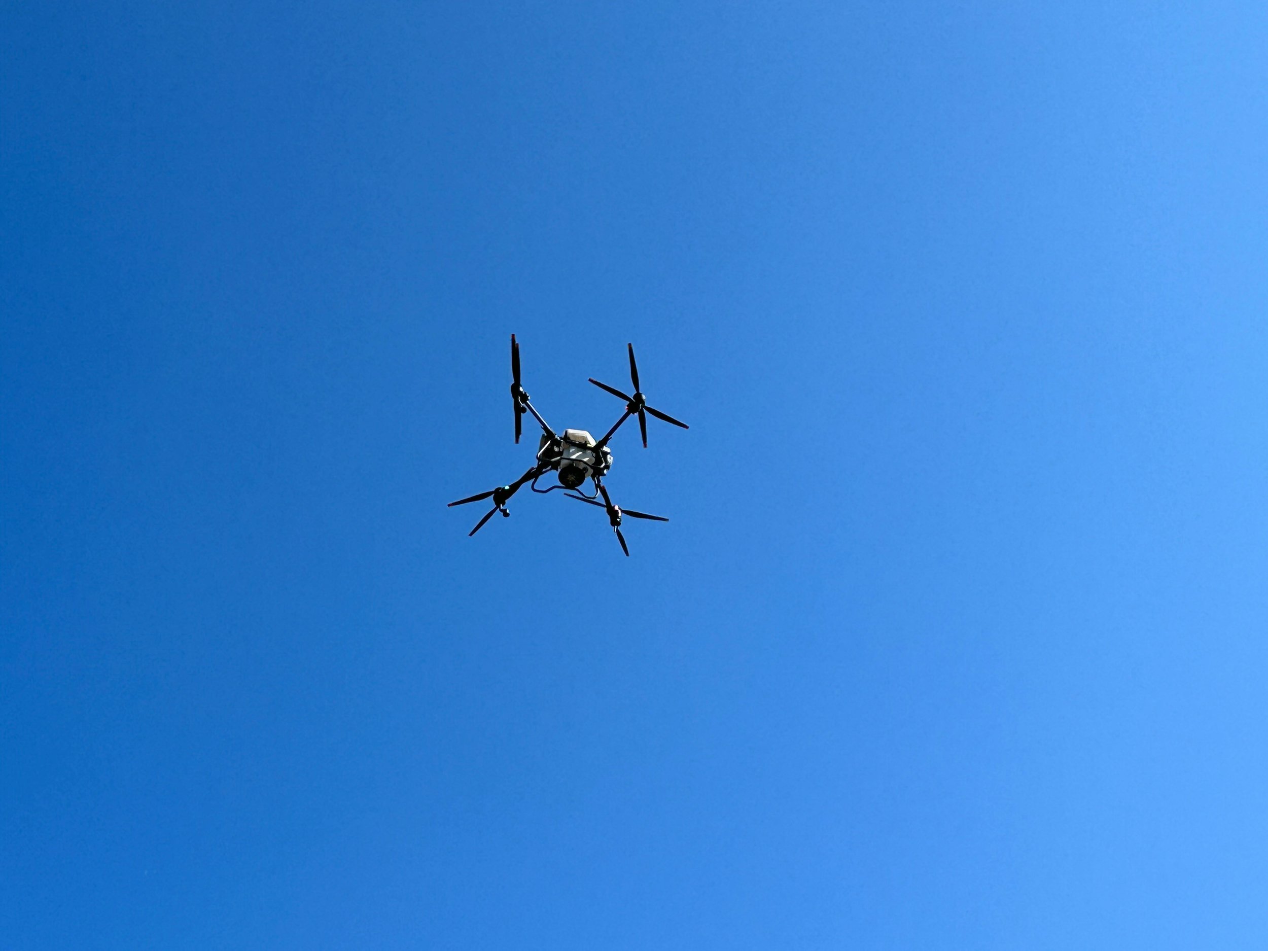 The Rise of Drone Services for Small Businesses
