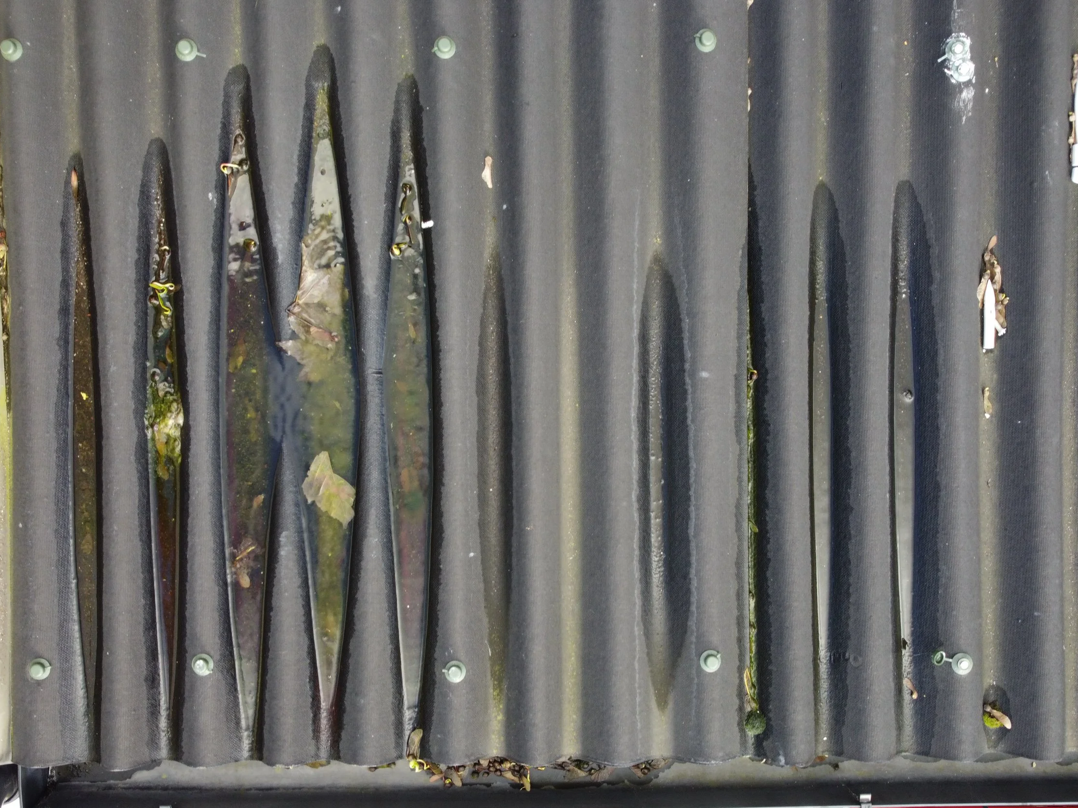 Ponding water on flat roof of residential extension SE London