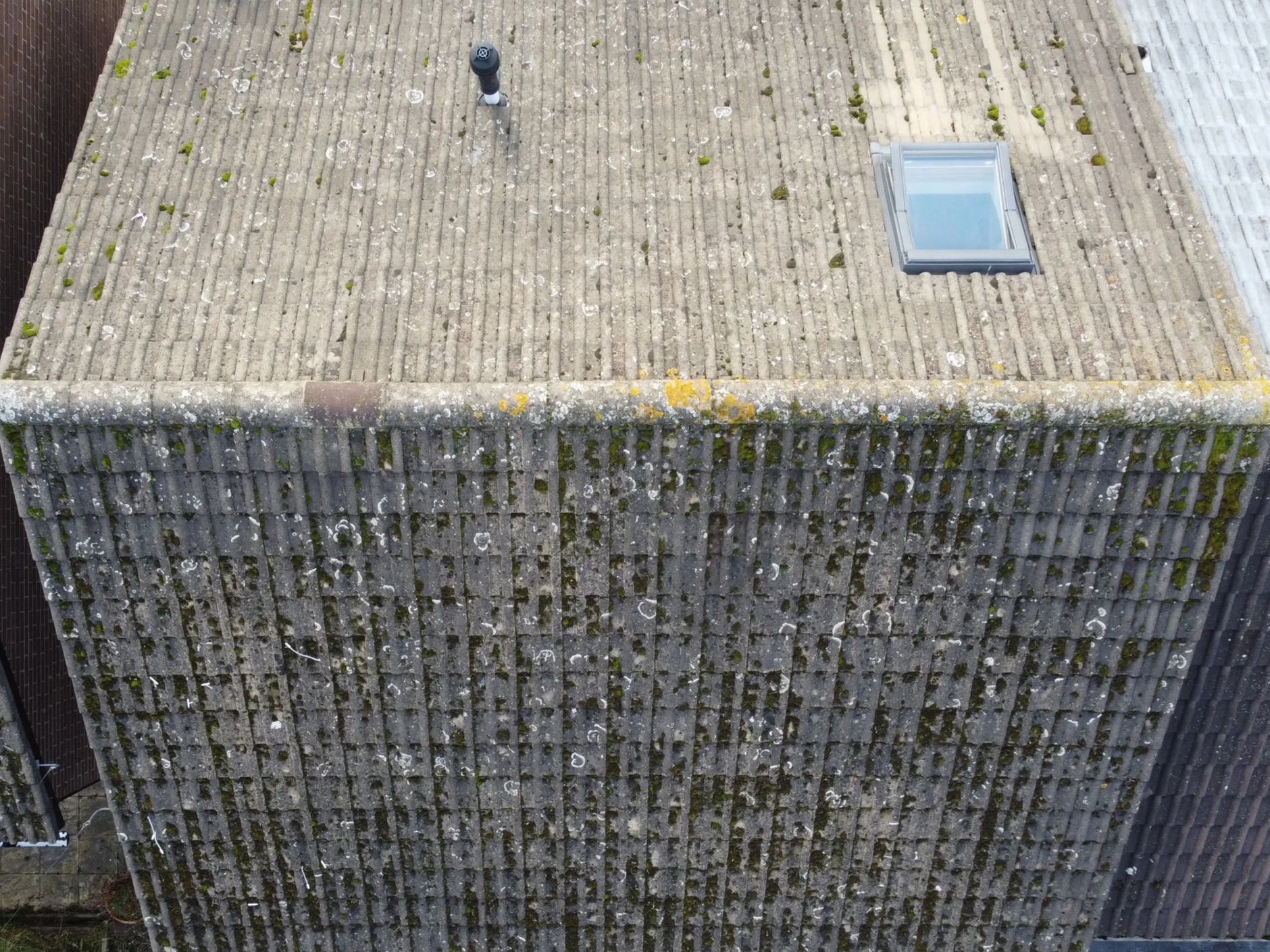 Moss accumulation on residential pitched roof SE London