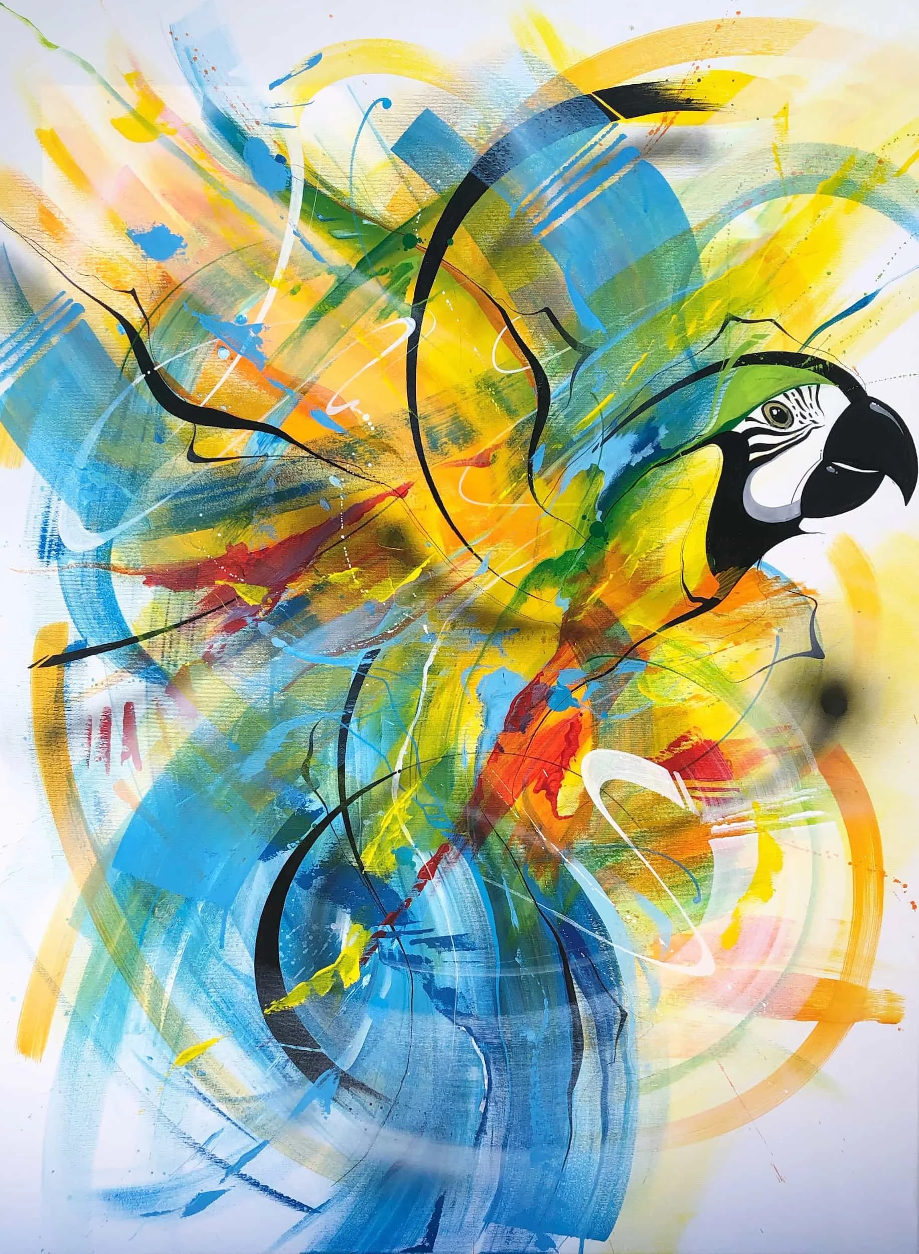 Front zugeschnitten 10.jpg