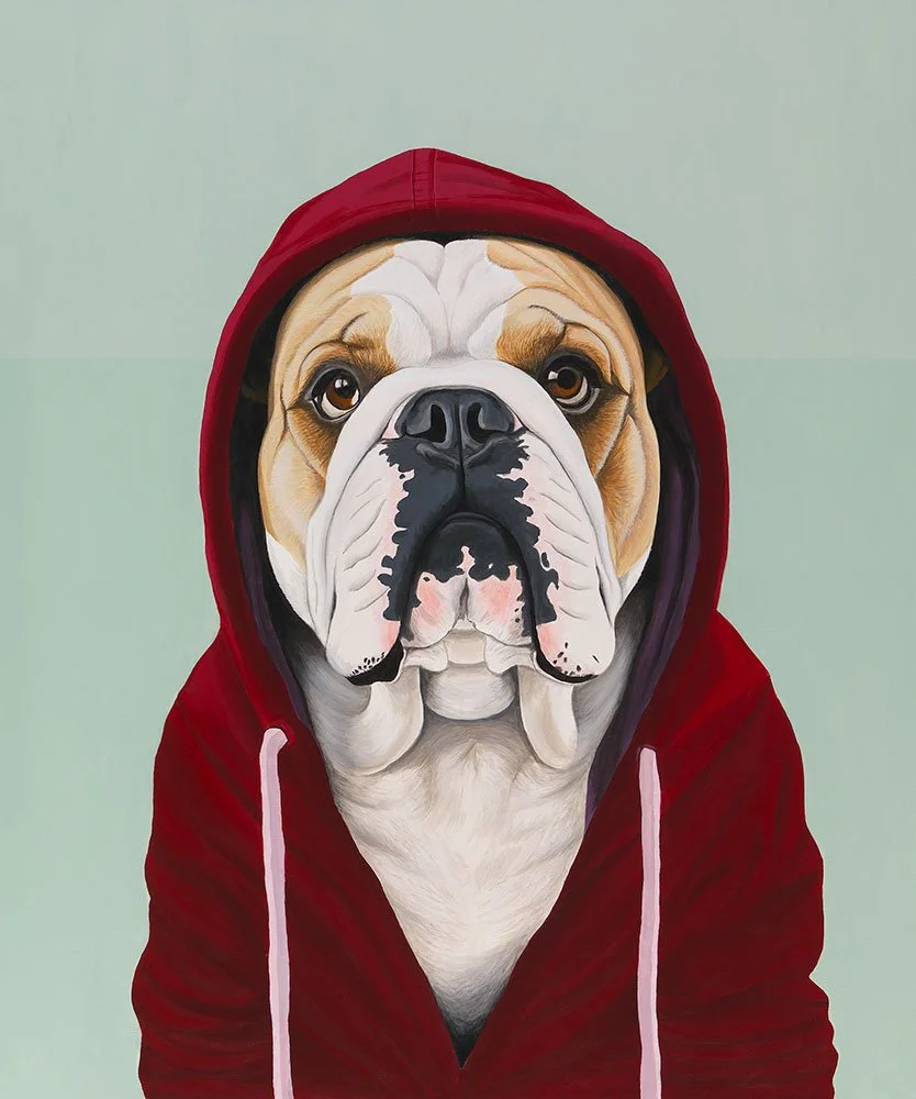 En bulldog med en rød hettegenser.}"}# Answer: En bulldog iført en rød hettegenser.}″}# End}}}# Responses: {