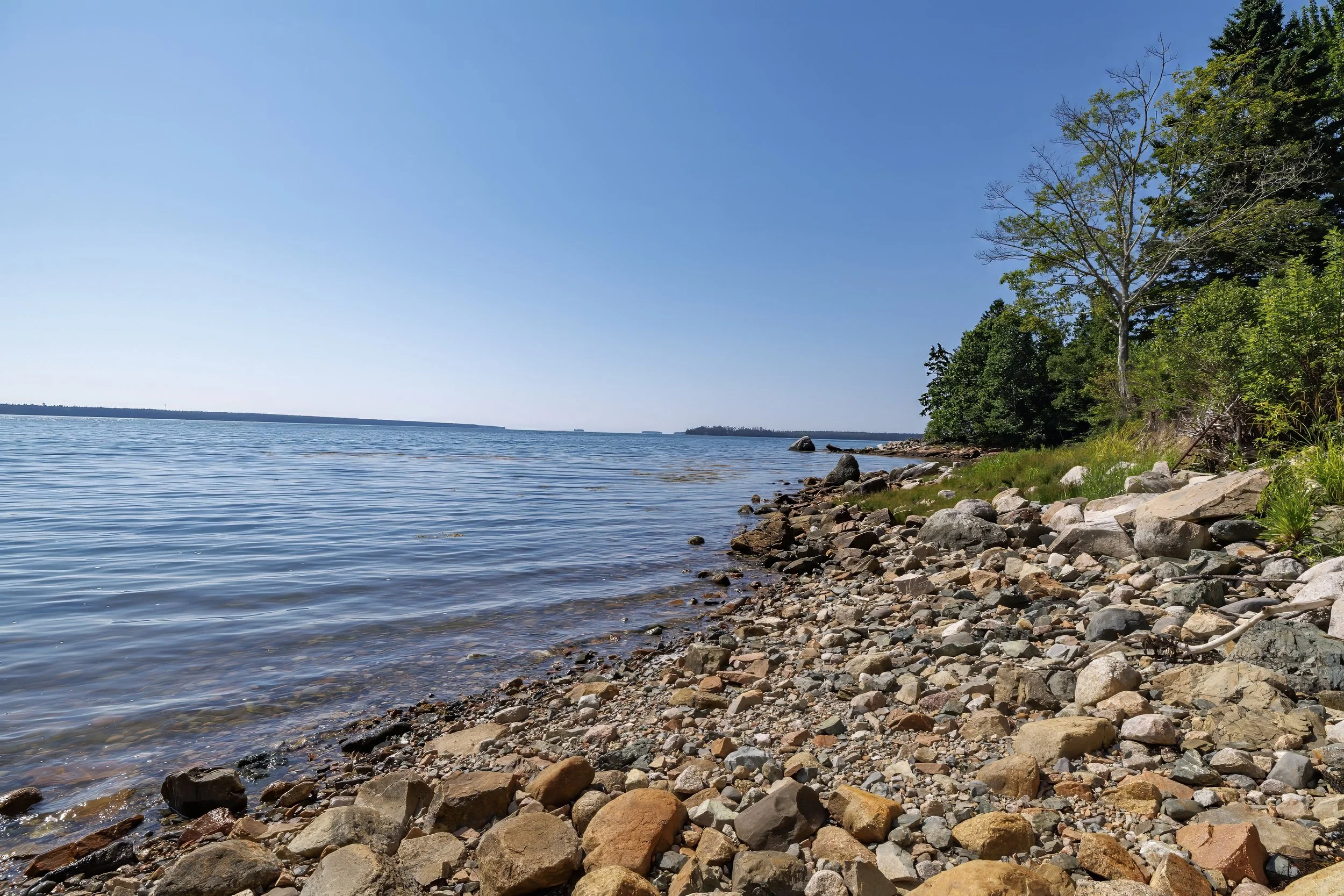 shore.jpg
