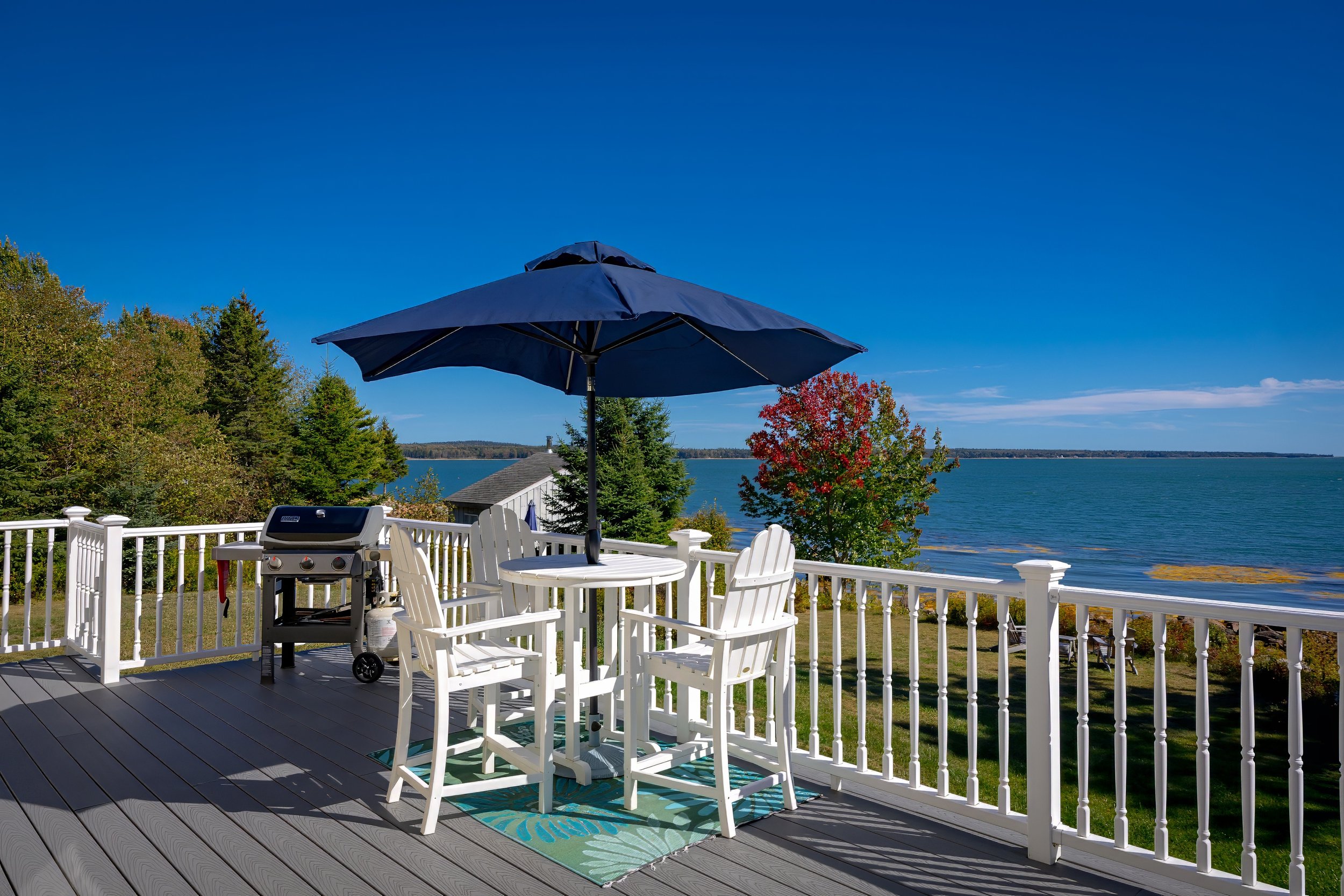 deck dining plus grill.jpg