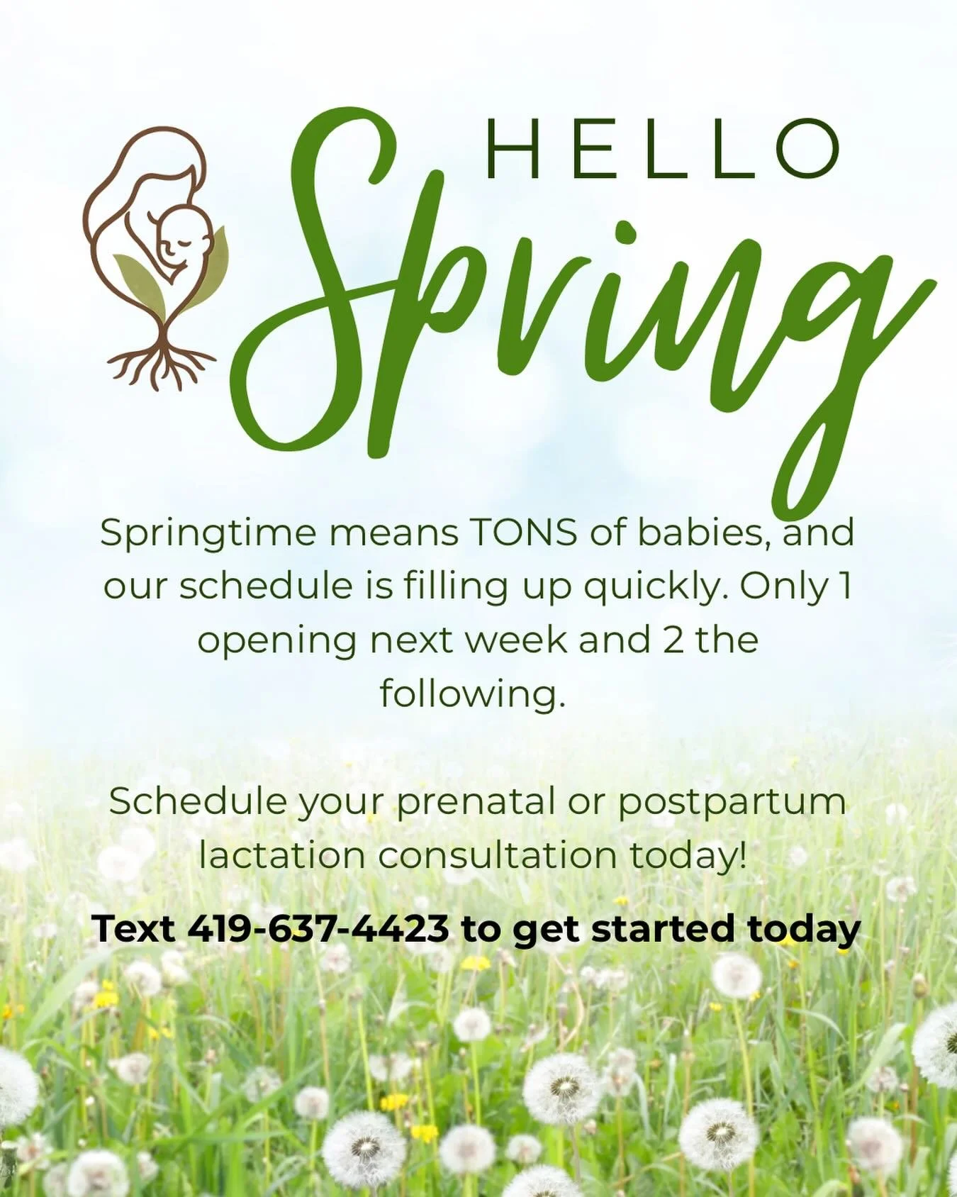 Spring is finally here and these spring babies are keeping us quite busy! Just a few spots for appointments available over the next few weeks. Don&rsquo;t wait, get the support you need now! 

Text 419-637-4423 to schedule your consultation today!