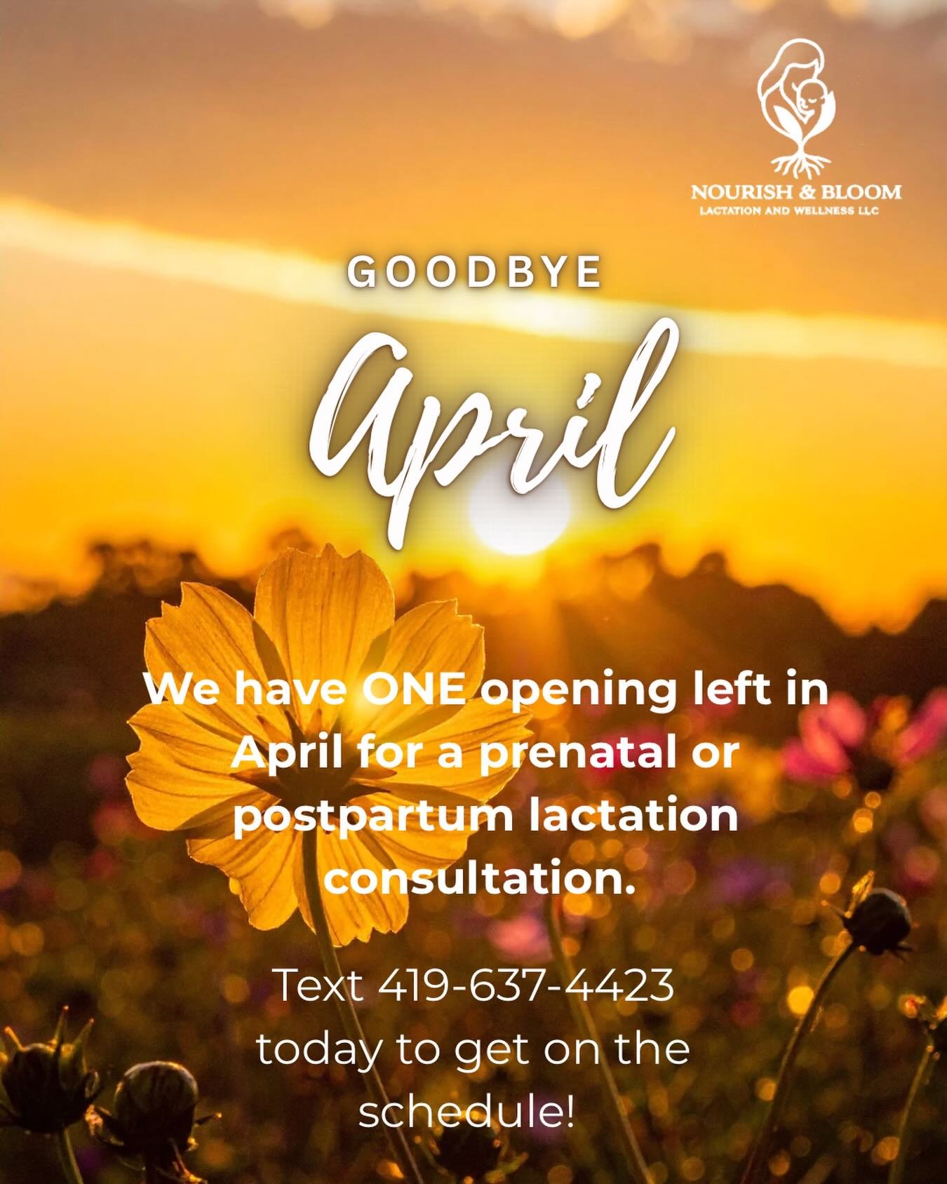 Don&rsquo;t wait, get the breastfeeding help you need now! 
Prenatal, postpartum, pumping and bottle feeding consults available!

Text 419-637-4423 to schedule your visit today!