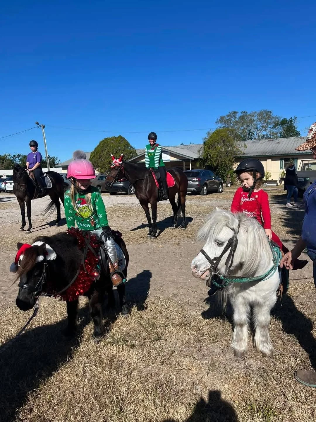 Christmas Fun Show 2024