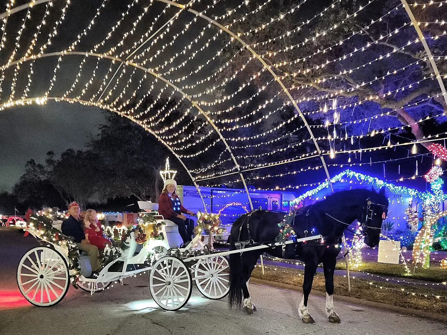 Cypress Breeze Farm- Horseback Riding Adventures