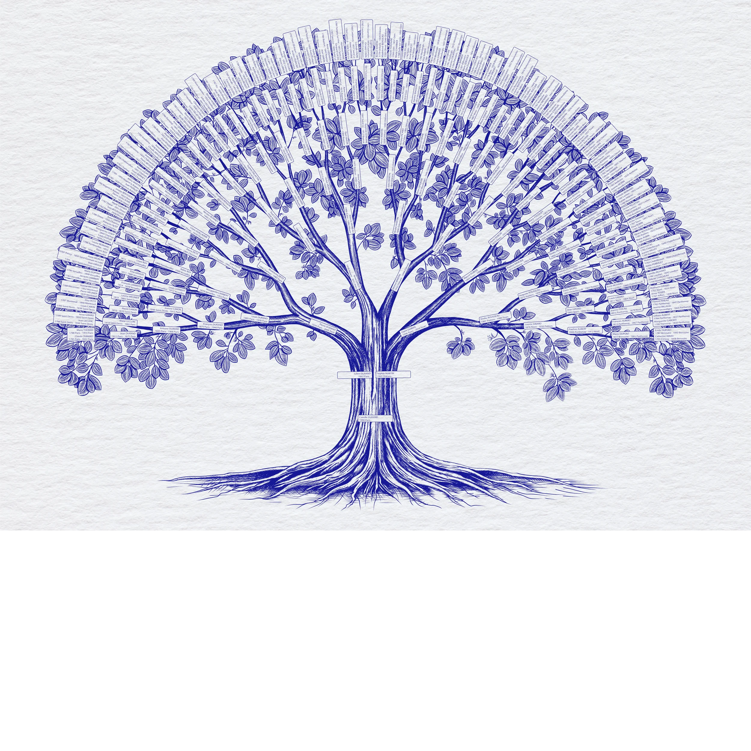 8_générations_255_ancêtres_A1_Avant_nous_généalogie_histoire_famille_ancetre_dessin_arbre_genealogique_personnalisé_imprimer_livré_sur_mersure.webp