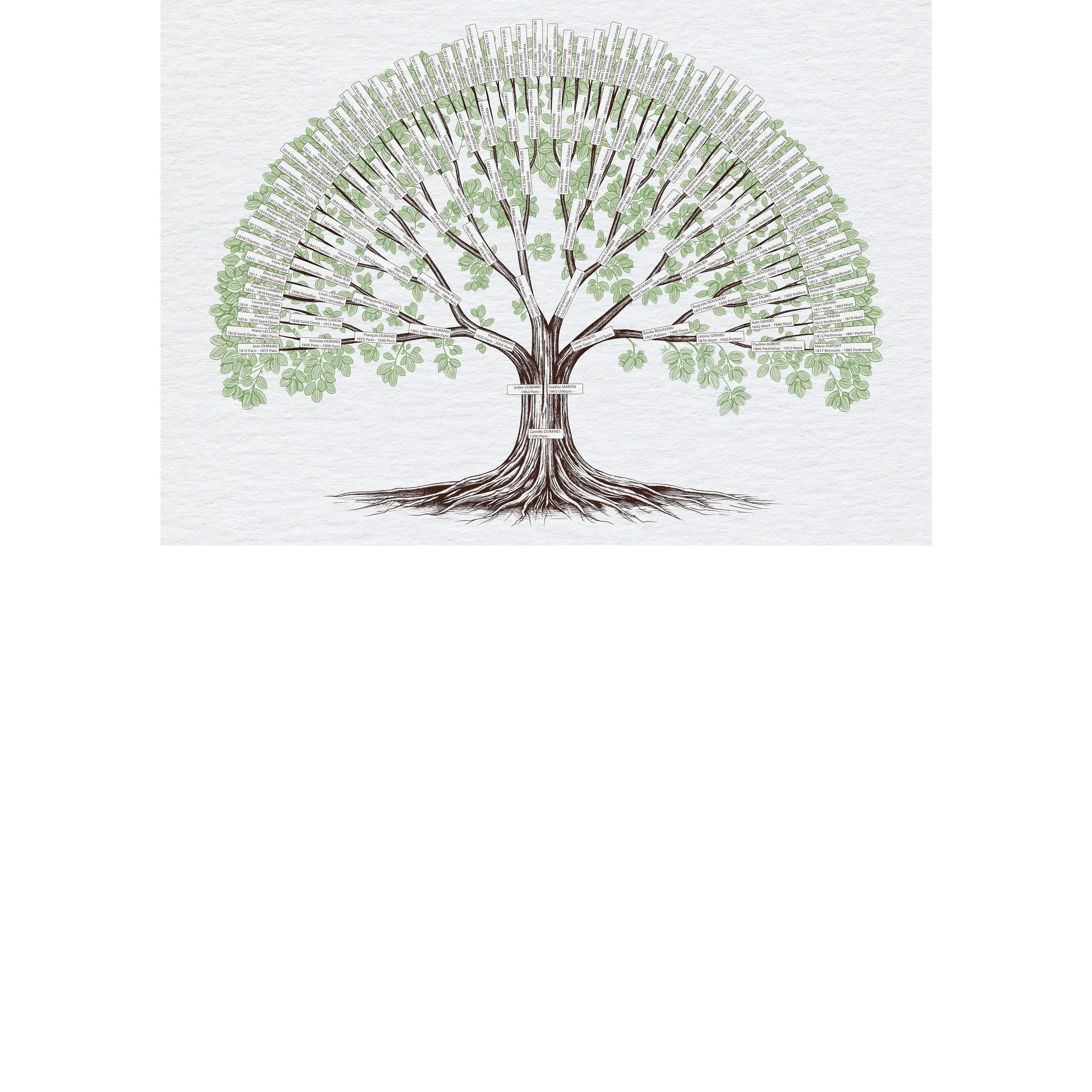 Printemps_Été_A2_7G_papier_texturé_Arbre_genealogique_personnalisé_sur_mesure_imprimé_avant_nous .webp