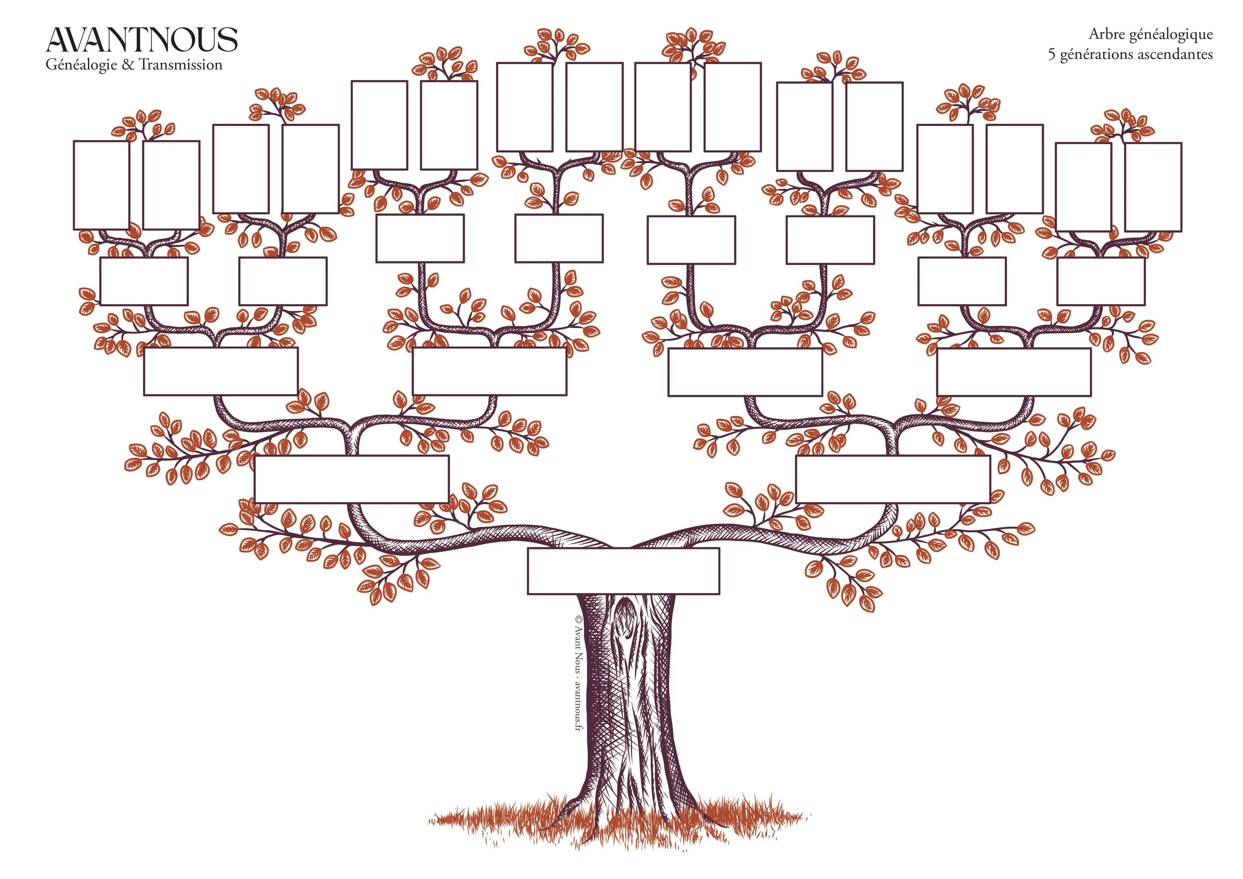 Arbre généalogique vierge gratuit à imprimer A4 et A3