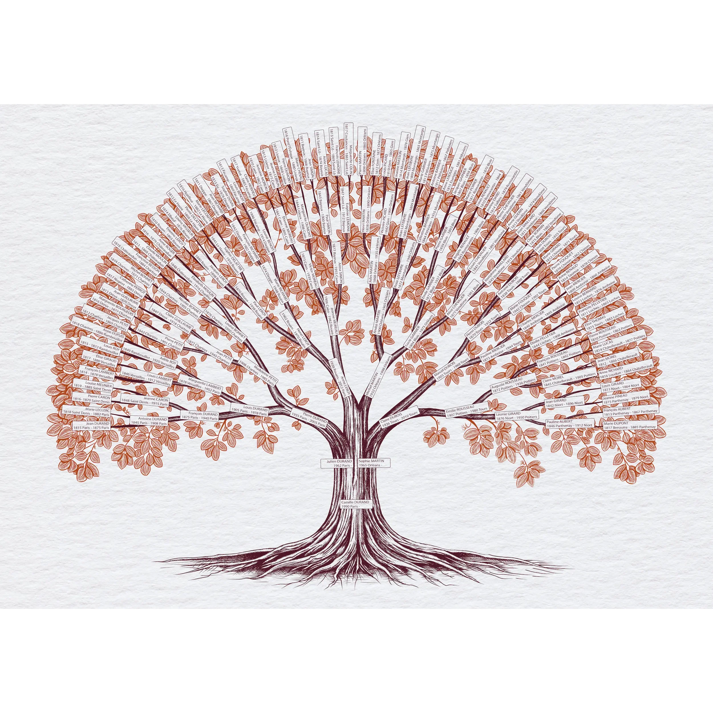 Le_tilleul_Automne_7_générations_impression_france_grand_format_ancetres_recherche_généalogique_famille_avant_nous.webp