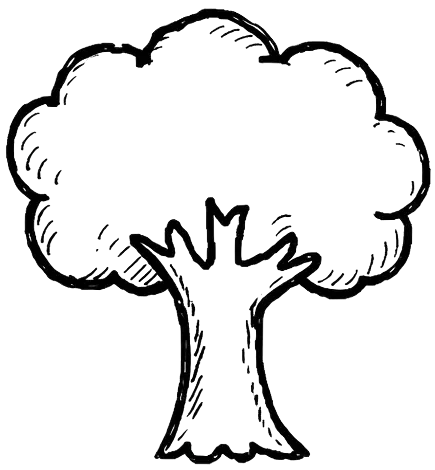 Arbre dessiné à la main sur tablette illustrant l'arbre généalogique