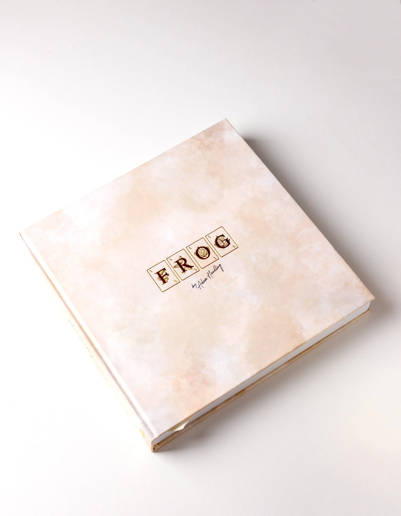 Frog by Adam Handling