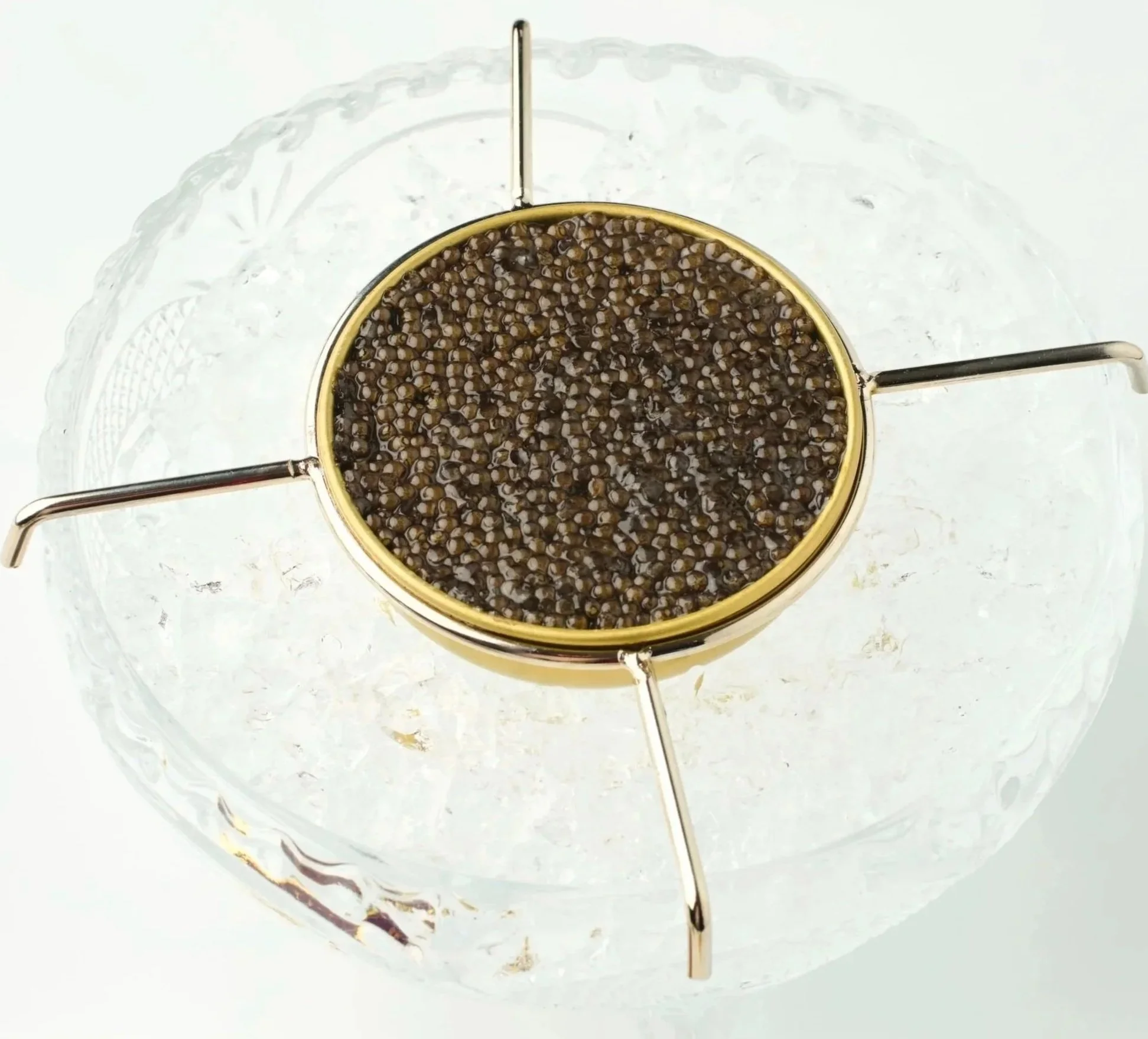 02-image (5).png