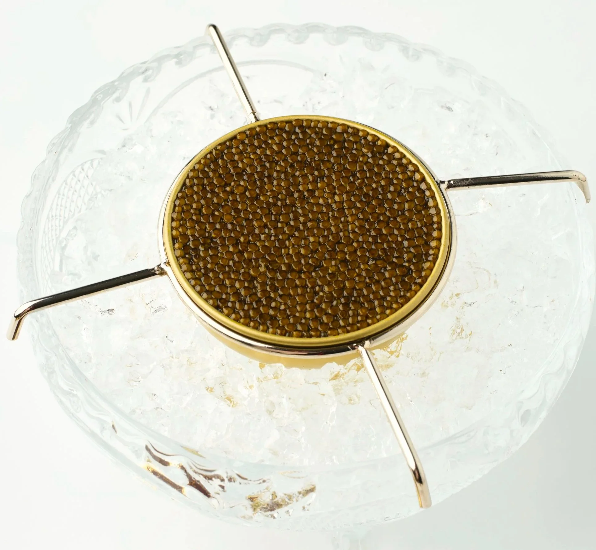 02-image (4).png