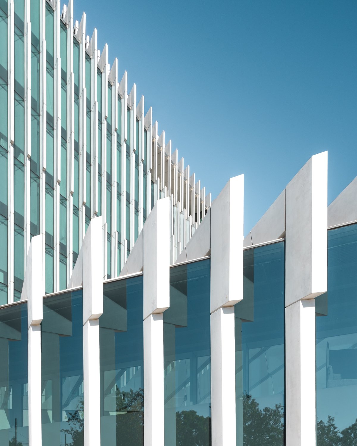 Modern building with glass windows and white vertical architectural features against a blue sky.
