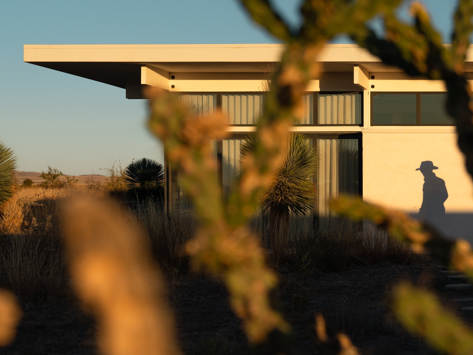 A modern house with large glass windows is seen through desert plants, with a person's silhouette wearing a hat cast on the wall, all illuminated by warm sunlight.
