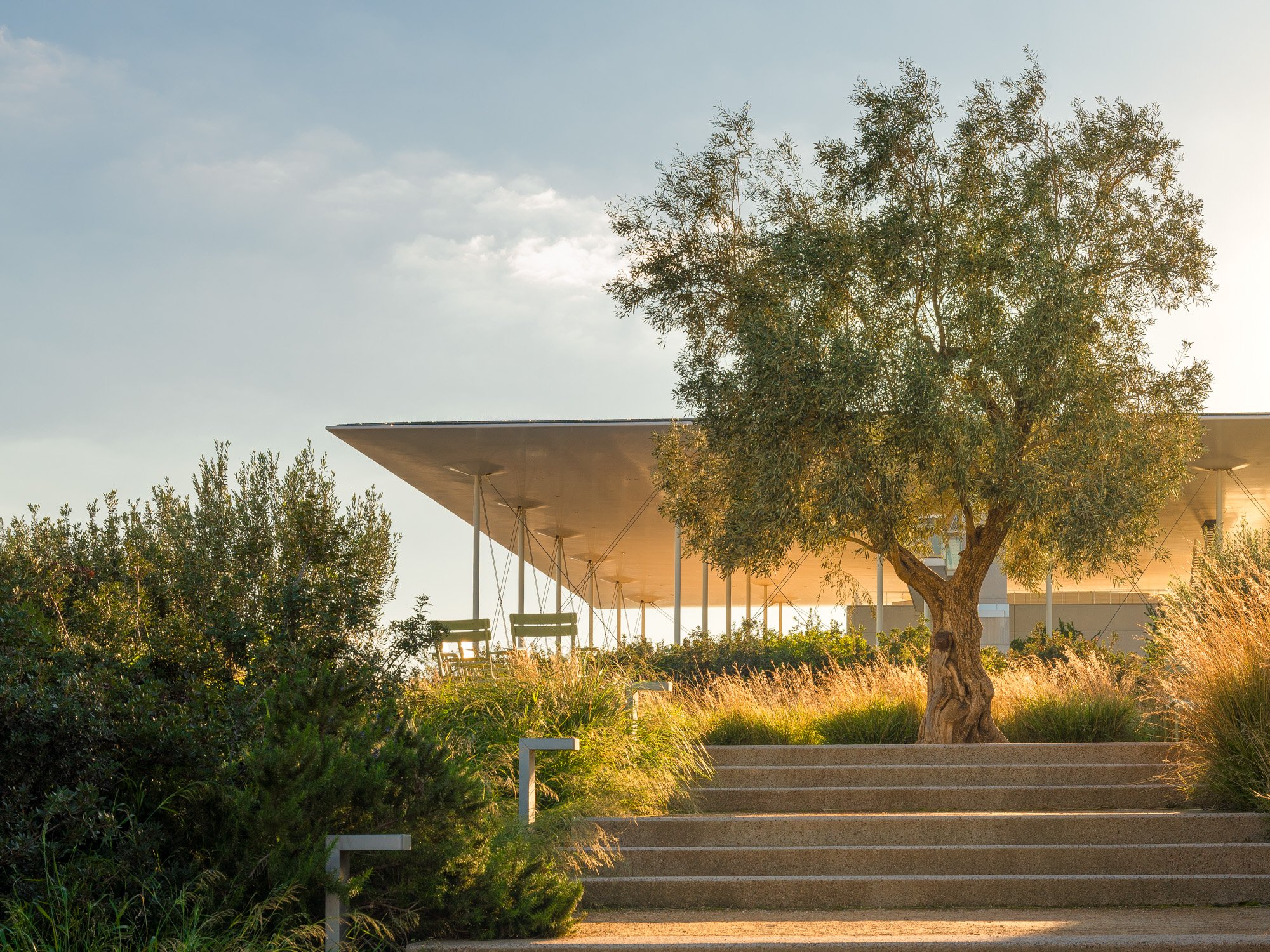 A modern building with a large overhanging roof supported by thin columns, surrounded by landscaped greenery including a prominent tree, bushes, and flowering plants, during sunset.