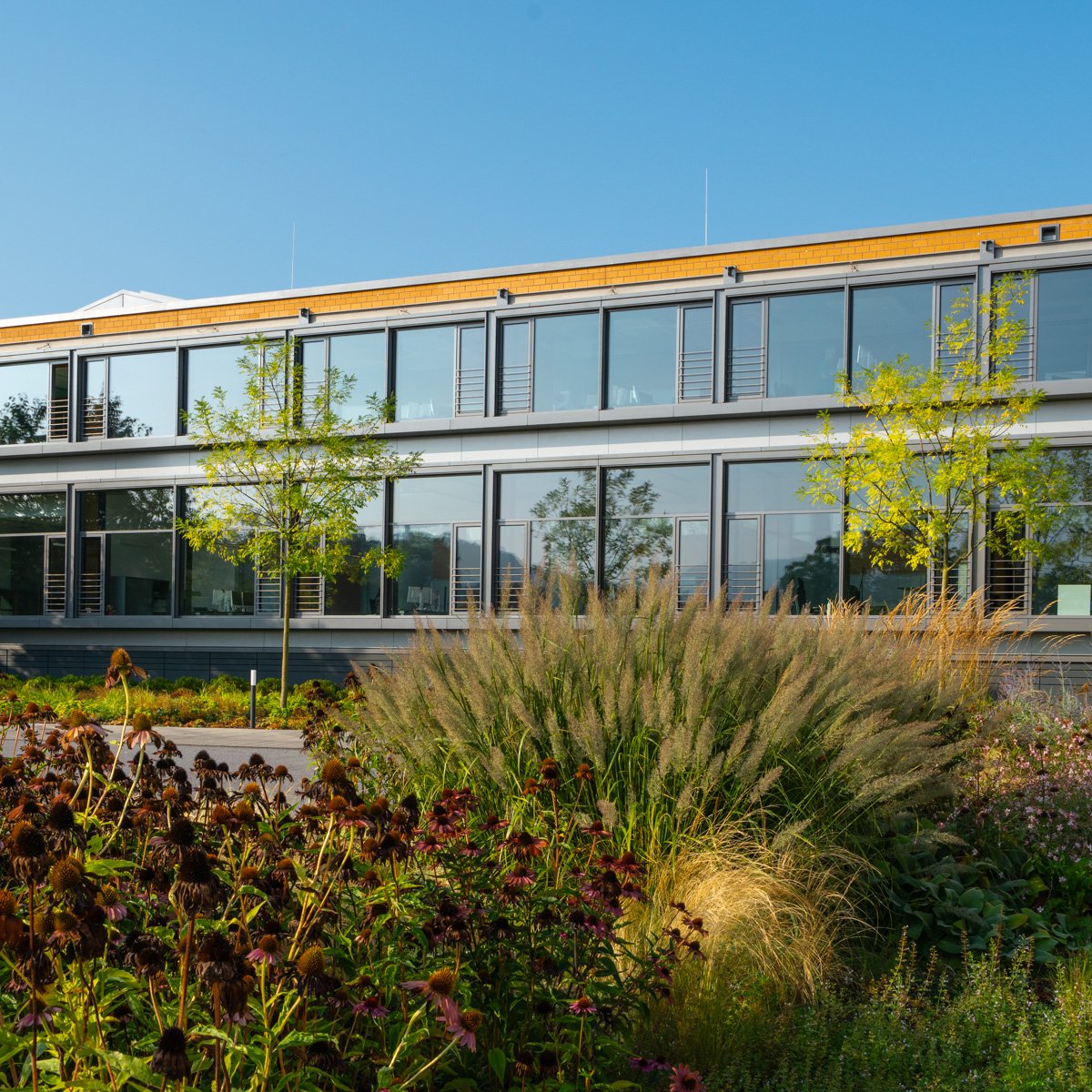 Modern building with large glass windows, surrounded by green trees and flowering plants under a clear blue sky.
