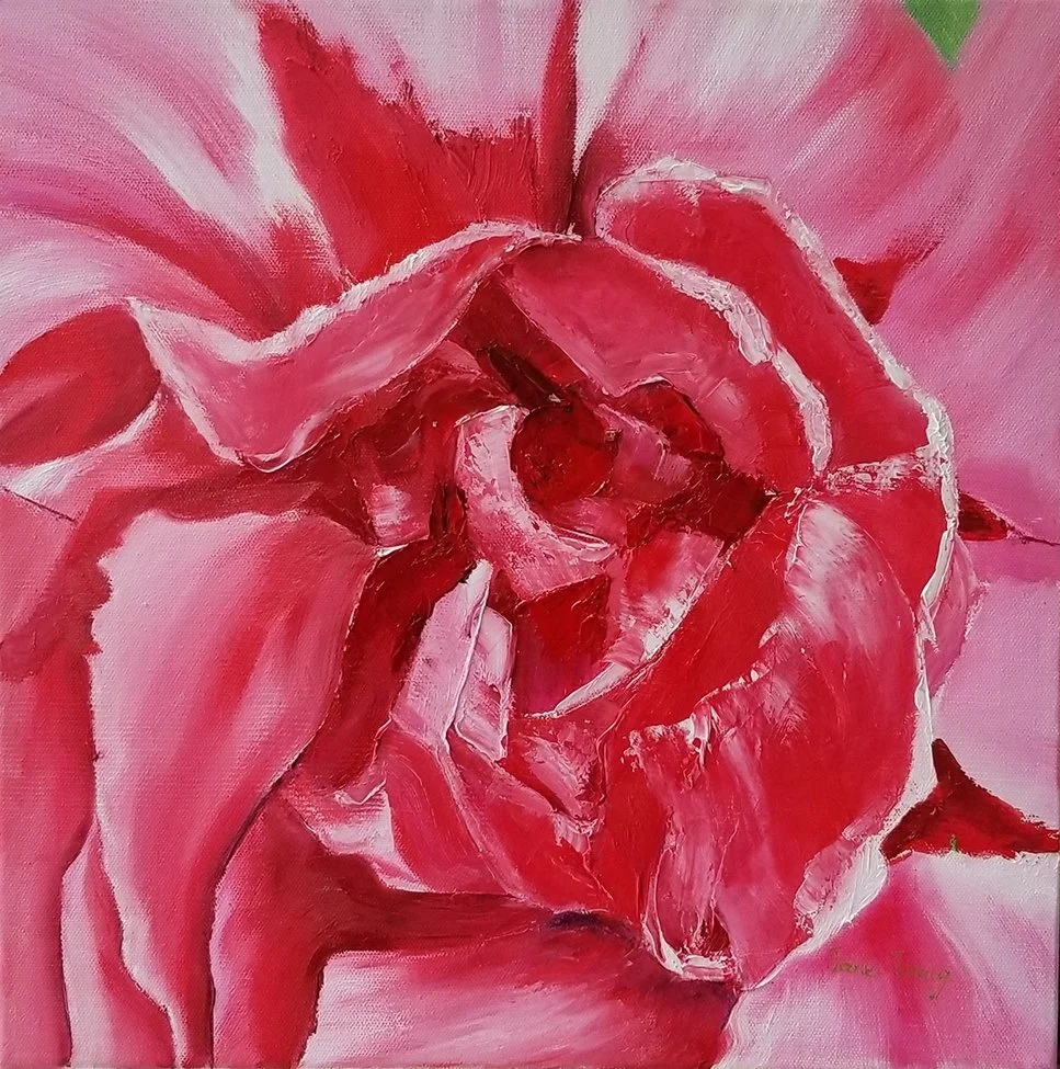 ROSE#01.2018.Oil on canvas.60cm×60cm