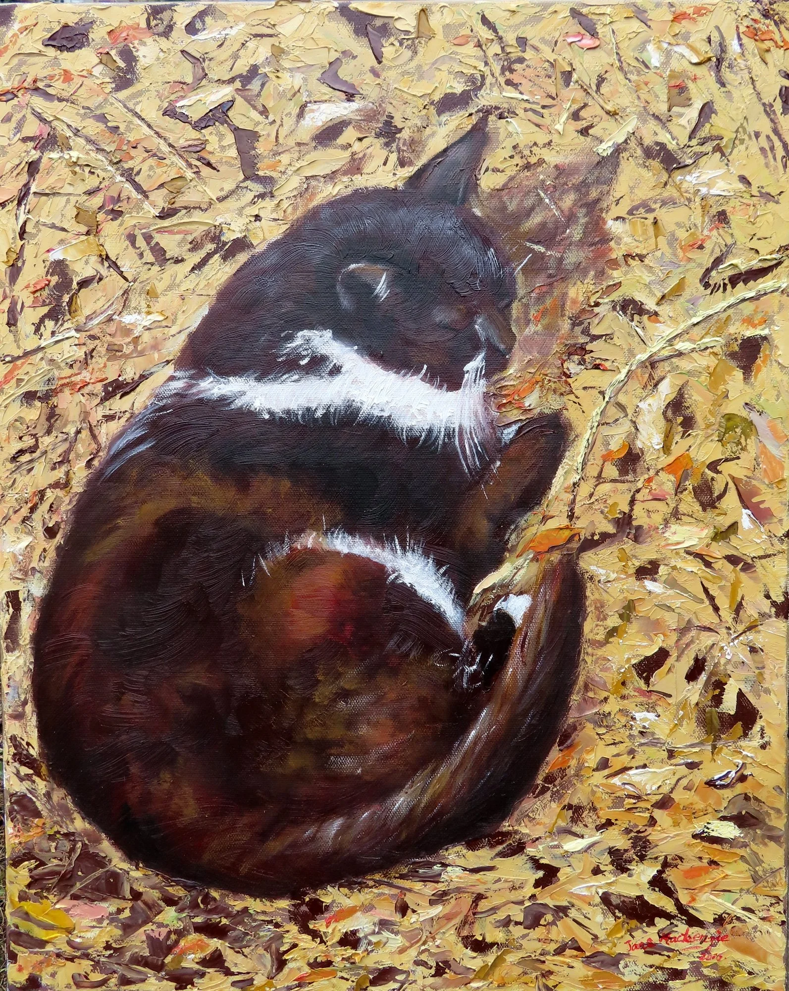 Felix.2018.Oil on canvas.50cm×40cm