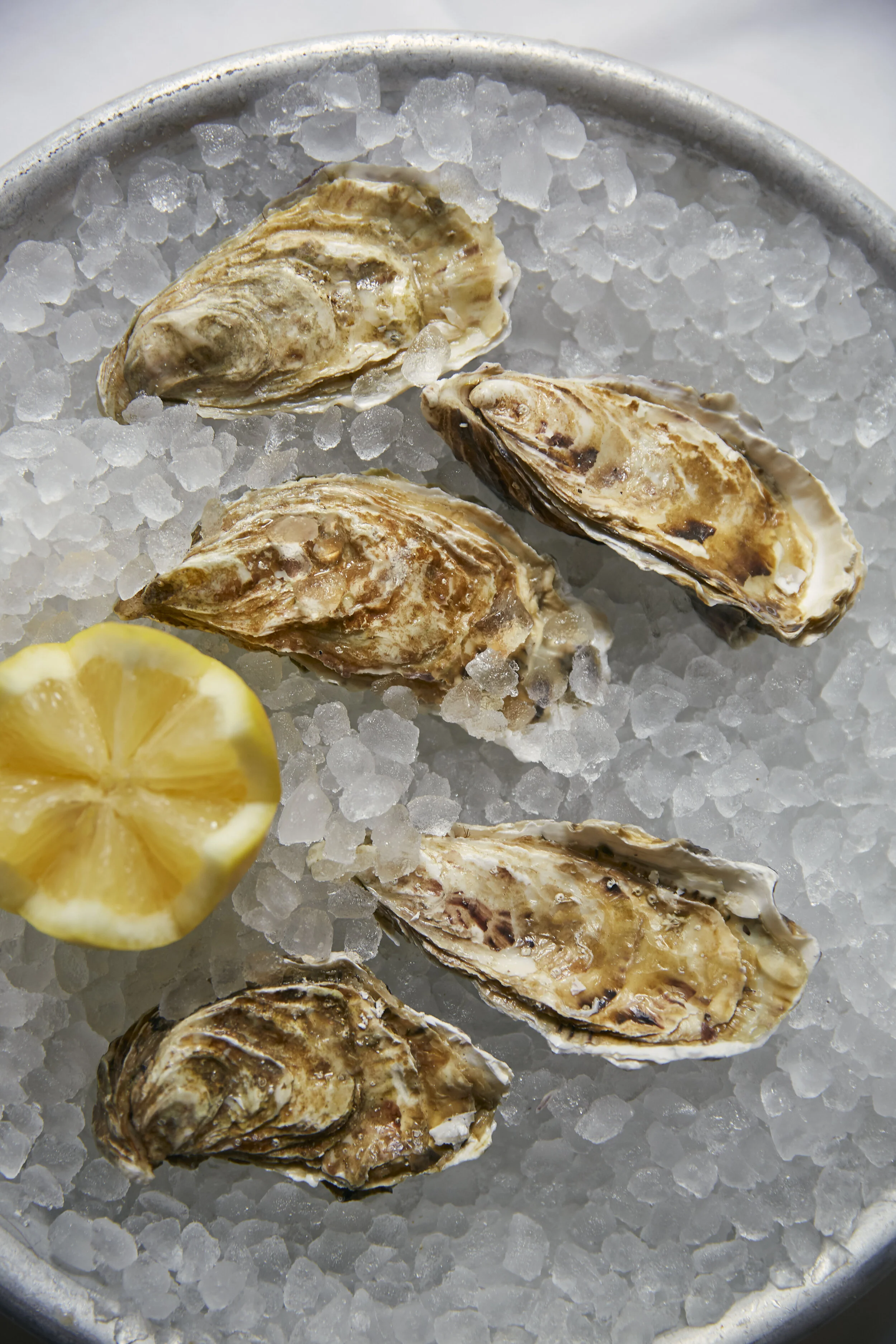 Ein Teller mit Austern auf Eis und einer Zitronenscheibe.