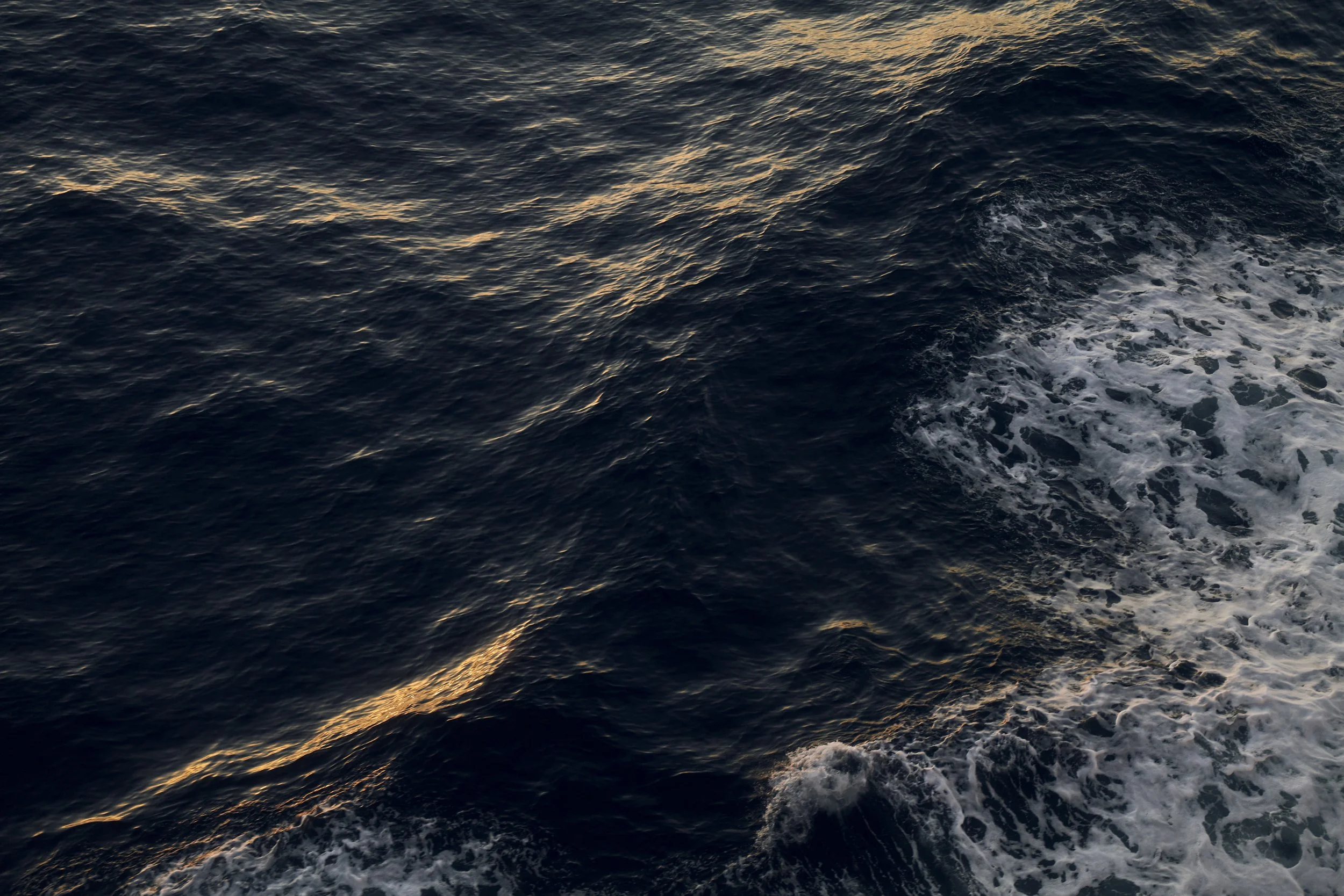 Dunkle Ozeanwellen mit Schaum an der Oberfläche, beleuchtet von Sonnenlicht.