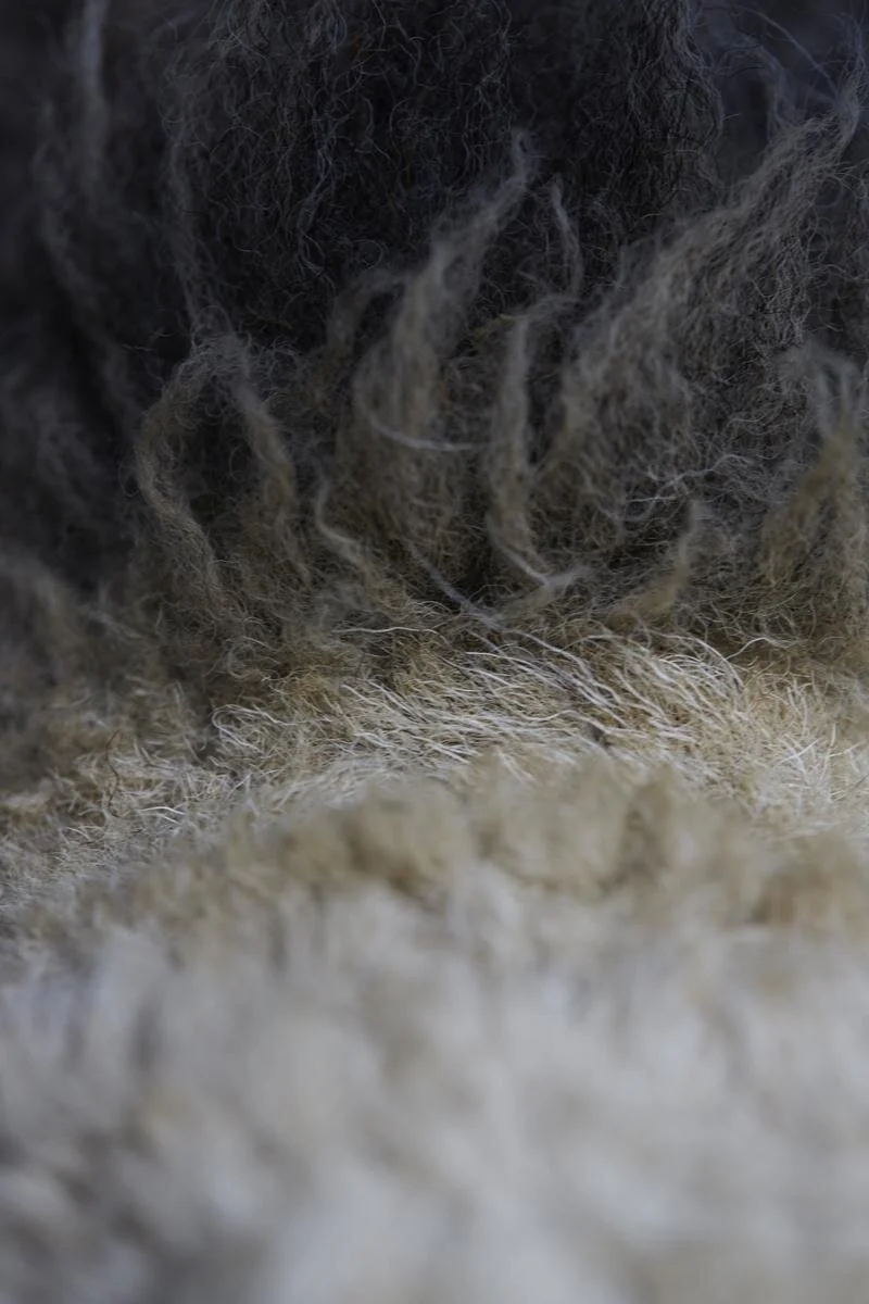 Nahaufnahme von Tierfell, wahrscheinlich von einem Schaf.