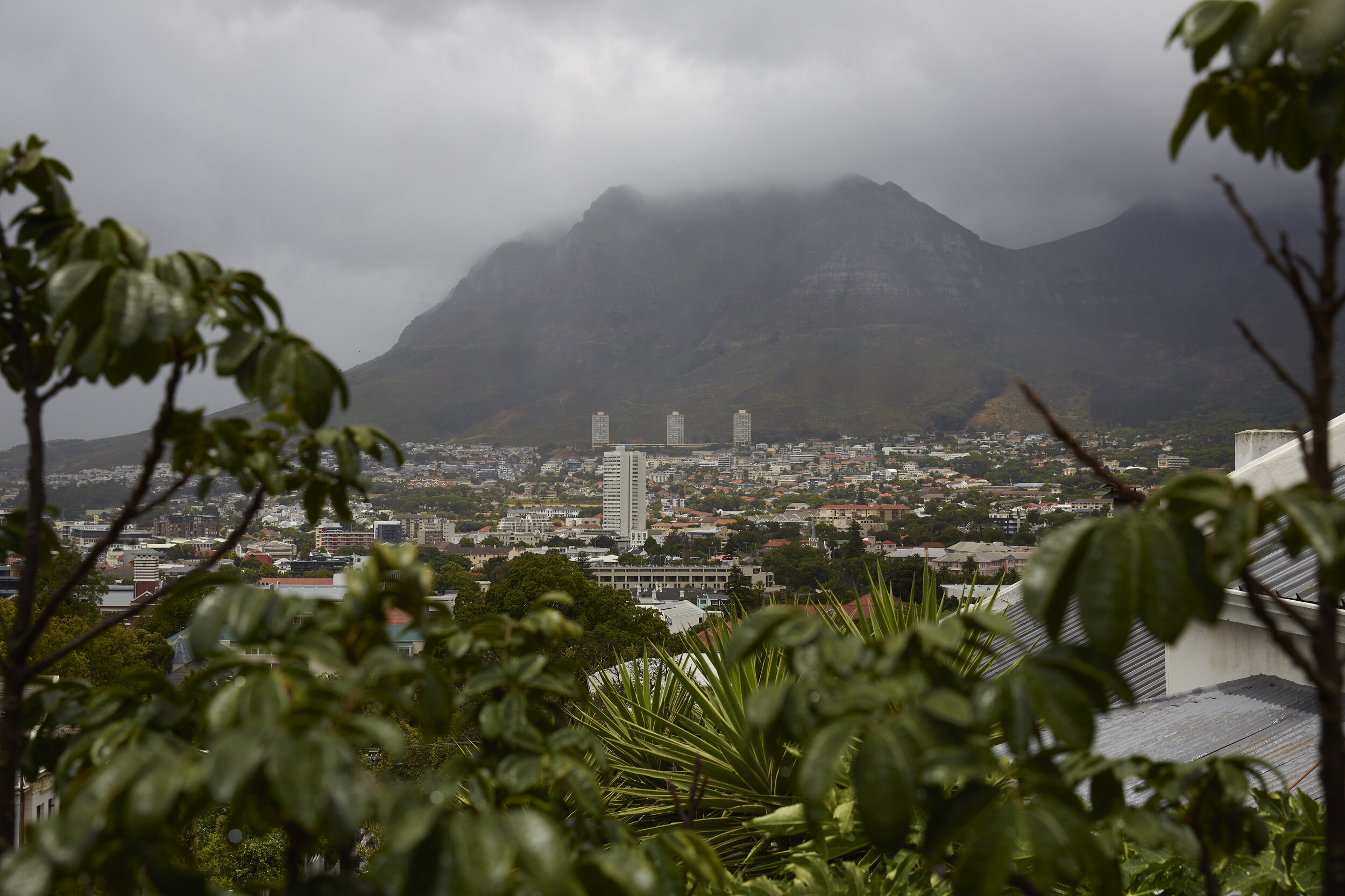 Stadtansicht mit Bergen im Hintergrund und üppiger Vegetation im Vordergrund an einem bewölkten Tag.