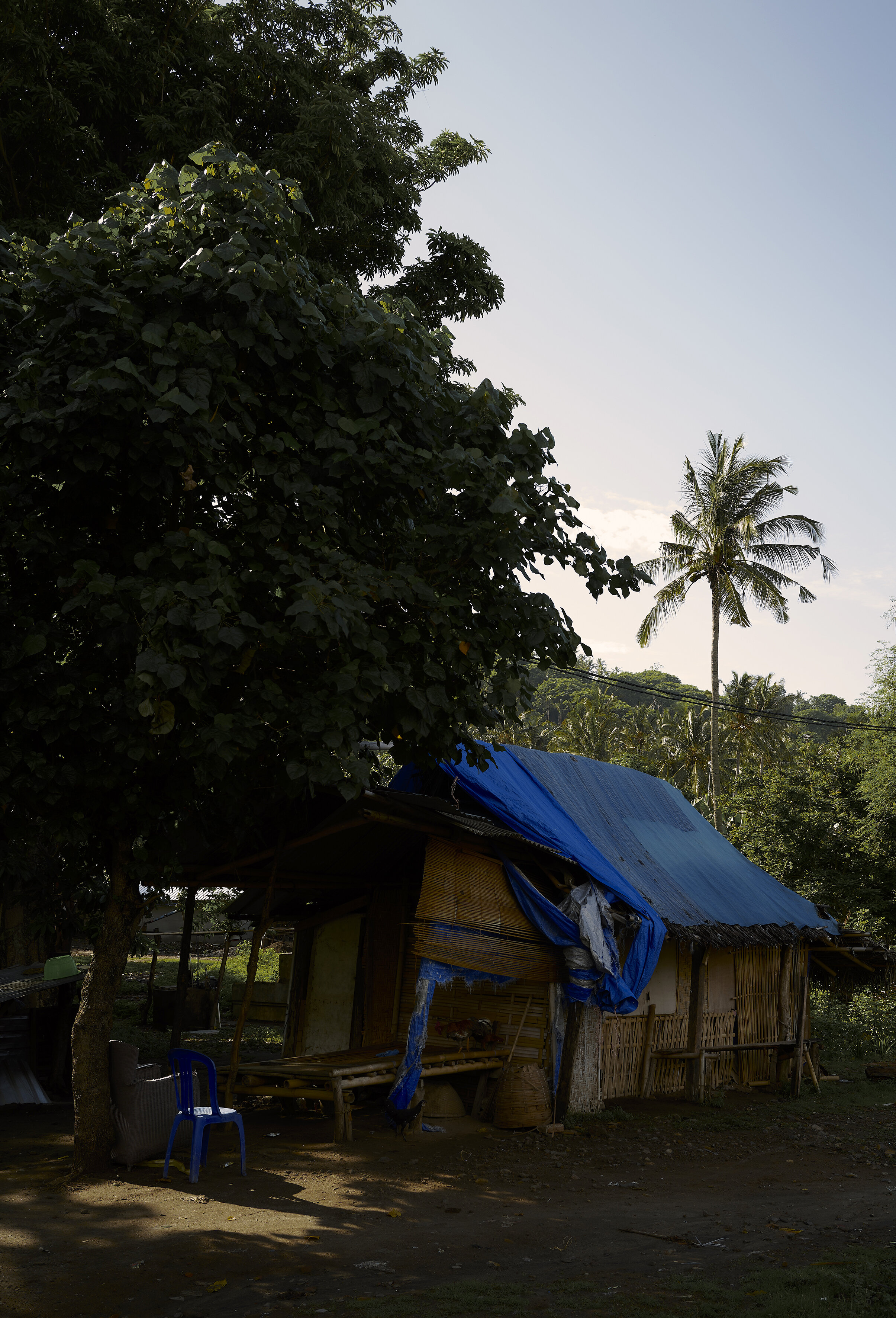 Eine einfache Hütte mit einem blauen Dach im Schatten von Bäumen, umgeben von grüner Vegetation und mit einer Palme im Hintergrund. Eine blaue Plastikstuhl steht neben der Hütte.