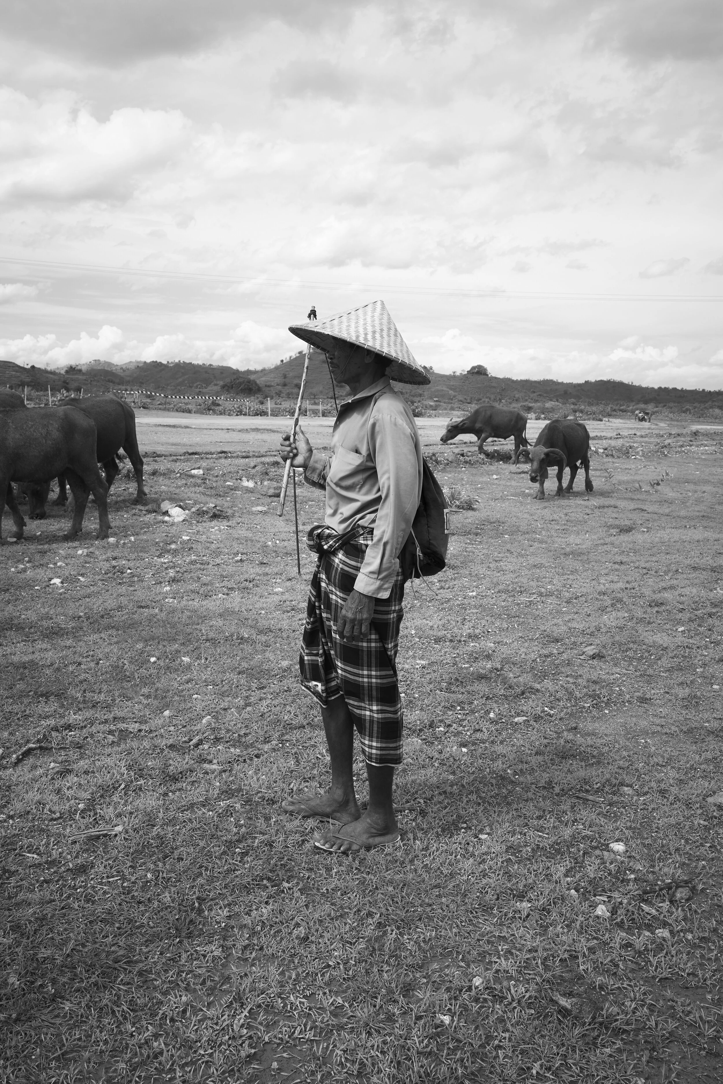 Eine Person steht auf einer Wiese mit Büffeln im Hintergrund und trägt einen traditionellen Hut und ein kariertes Tuch. Die Landschaft ist ländlich und weitläufig.