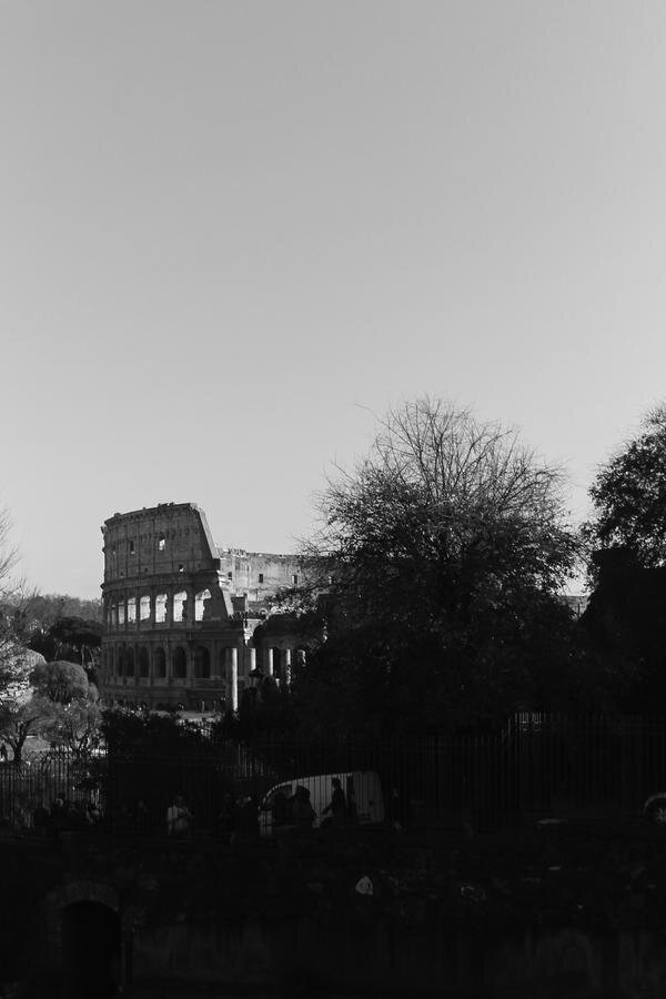 Schwarzweiß-Foto des Kolosseums in Rom, teilweise von Bäumen verdeckt.