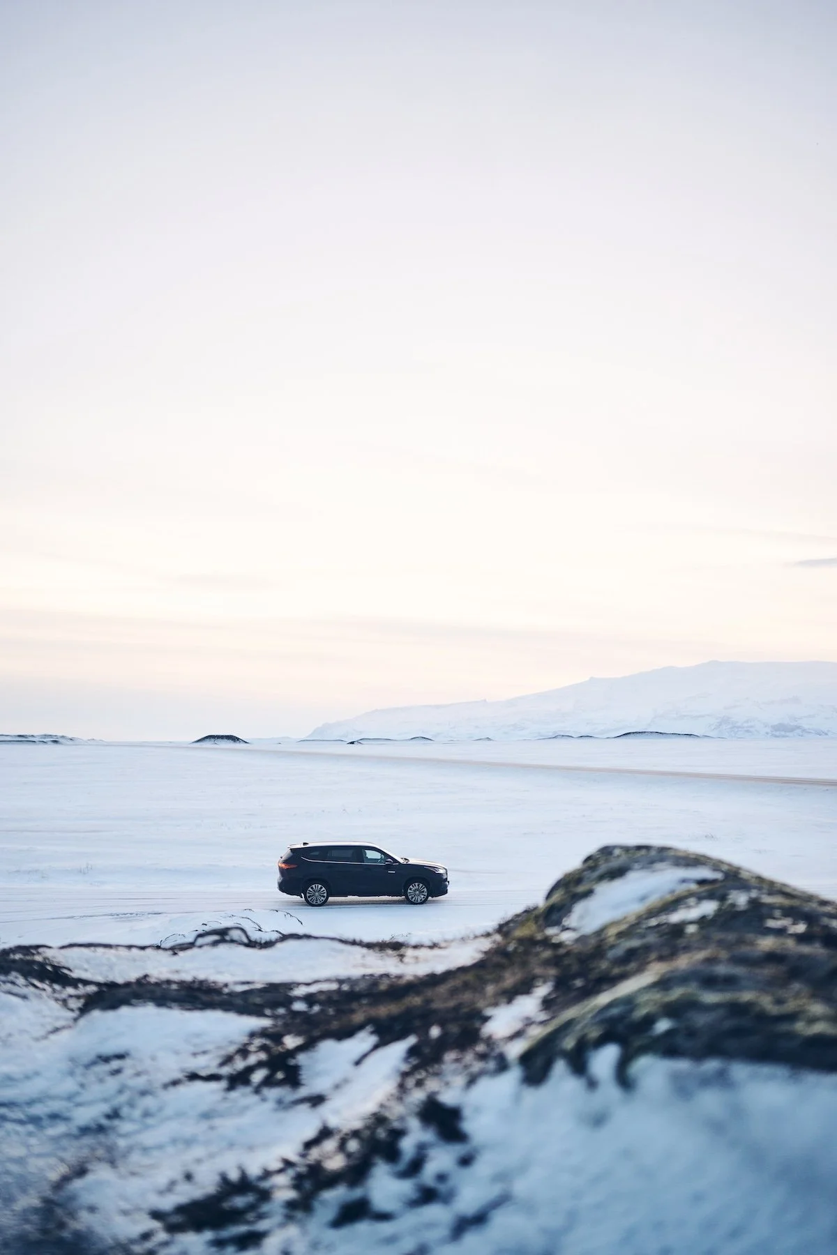 The Cruiser - Island