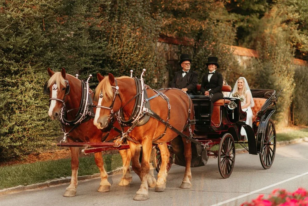 Fairytale Wedding at The Biltmore Estate
