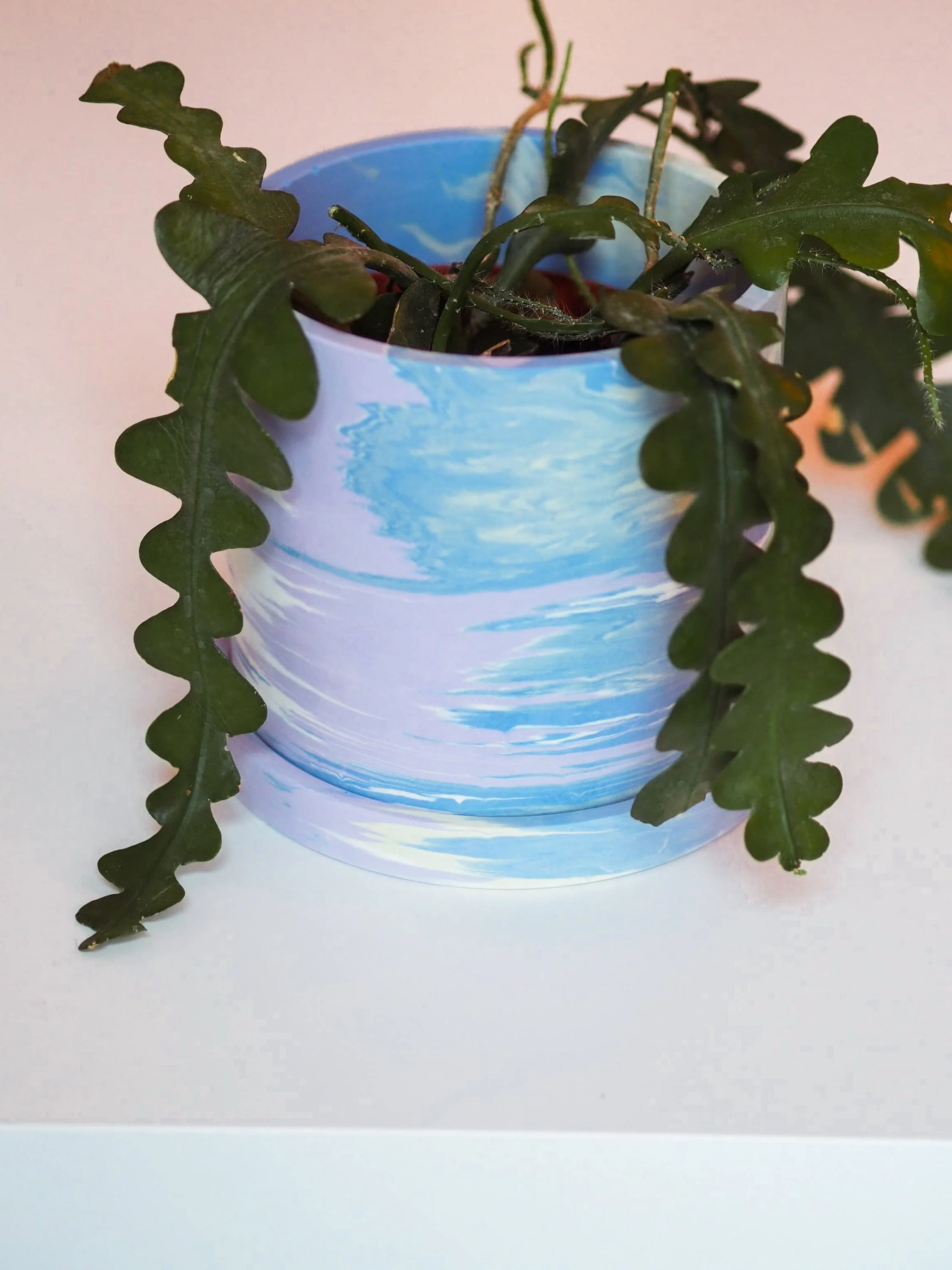 Studio Dawn Happy Home Decor-277.jpg